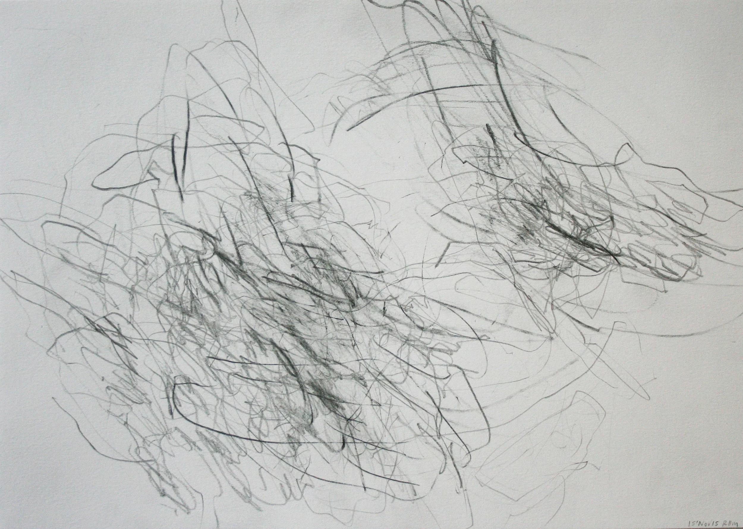 Left hand Drawing IX November 2015 graphite on paper 21 x 30 cm
