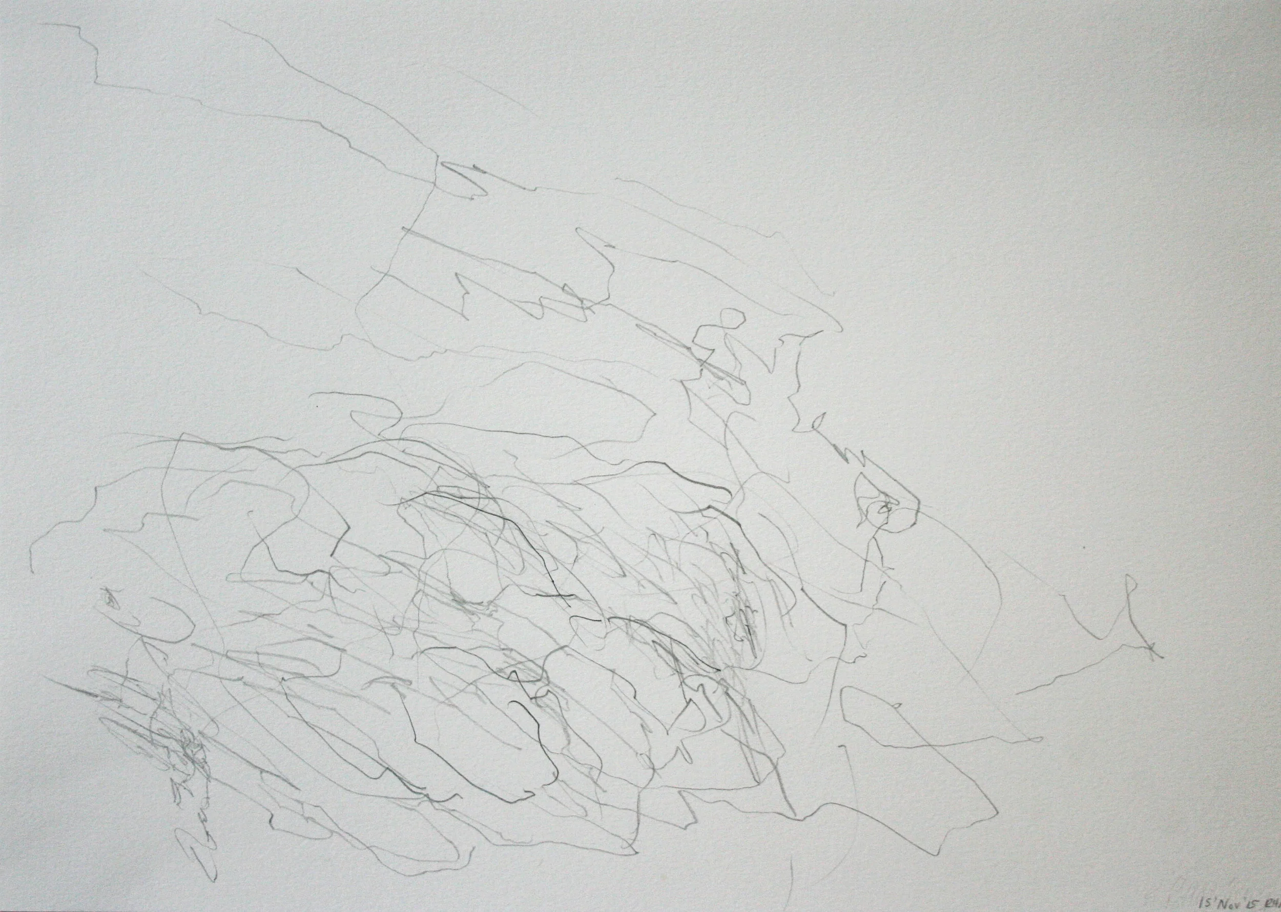Left hand Drawing XI November 2015 graphite on paper 21 x 30 cm