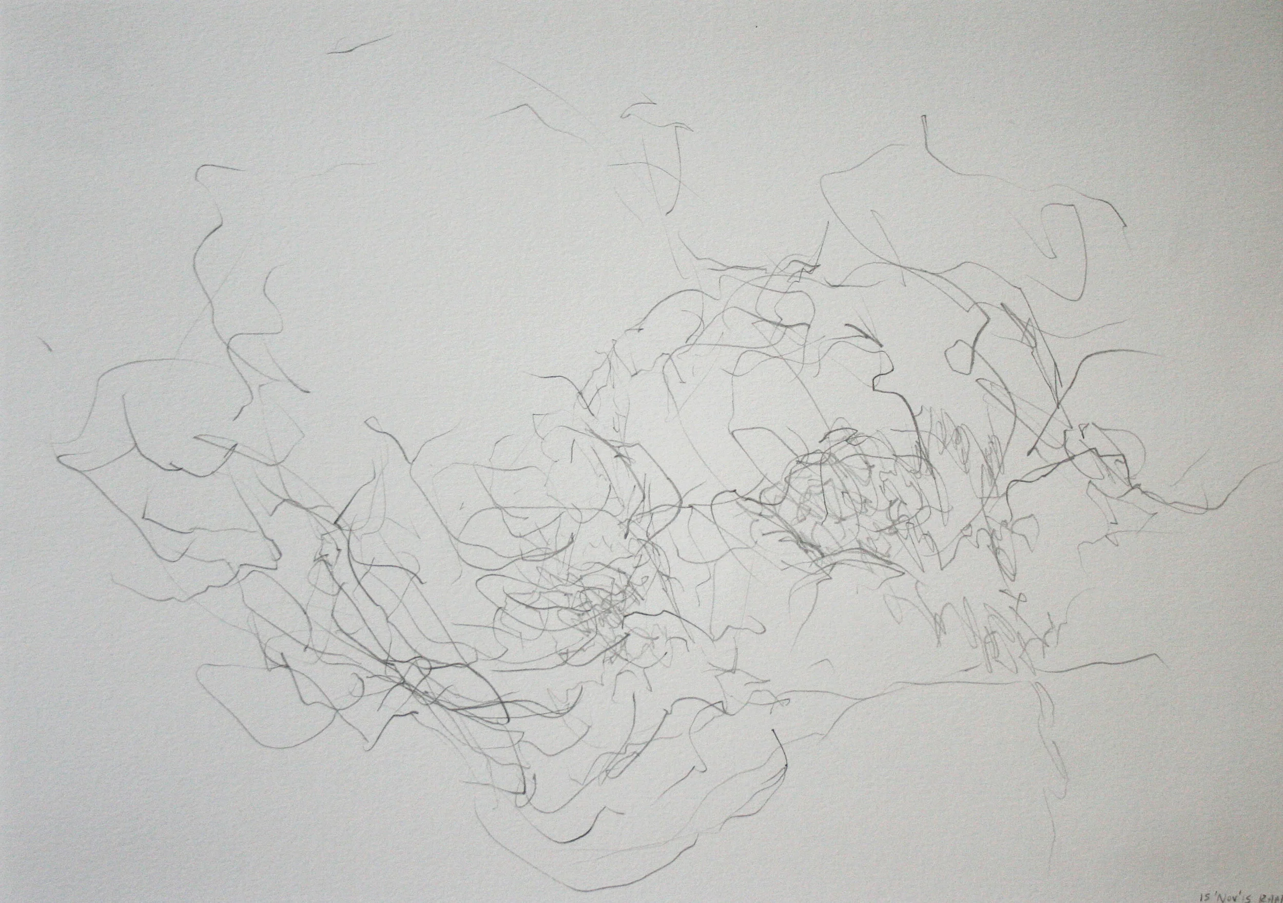 Left hand Drawing XII November 2015 graphite on paper 21 x 30 cm