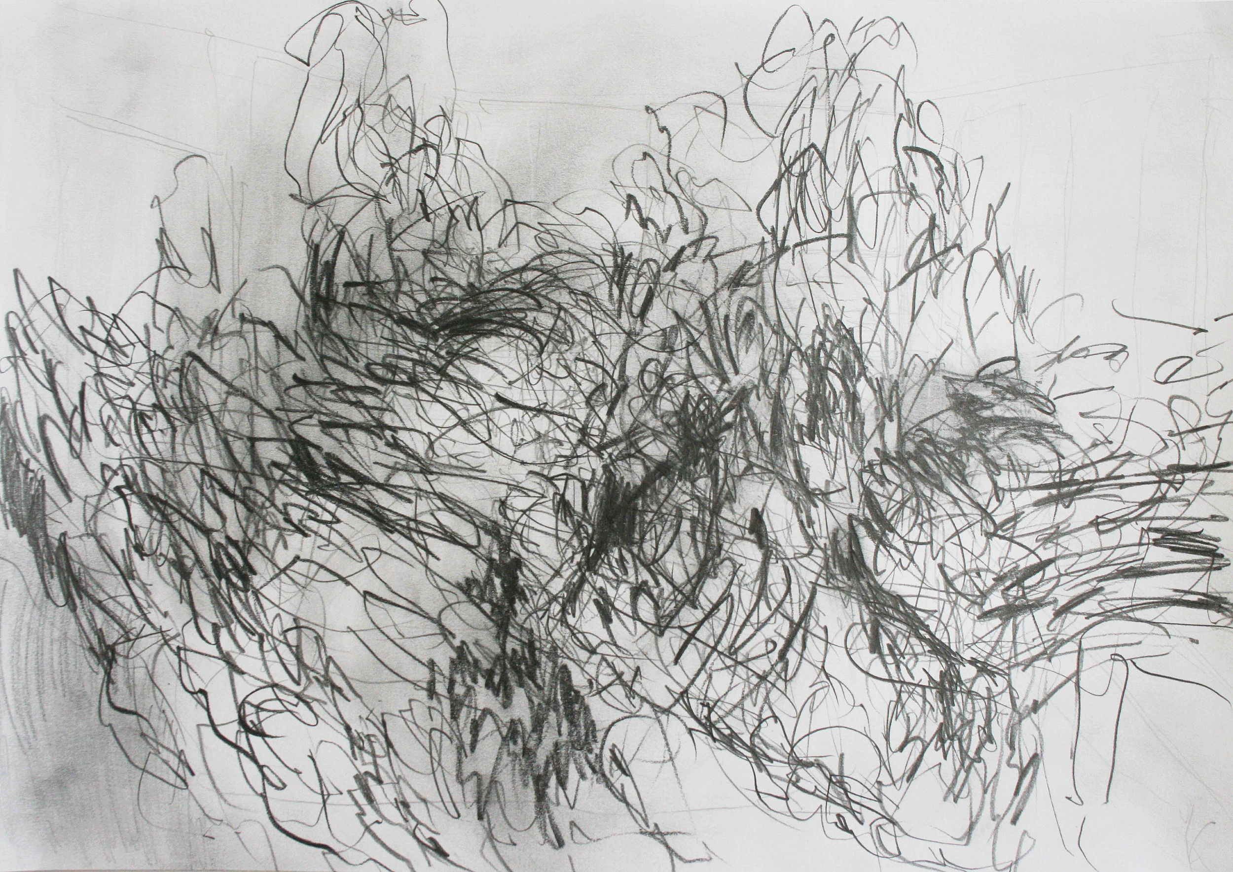 Drawing for another painting 2014 graphite on paper 29.5 x 42 cm