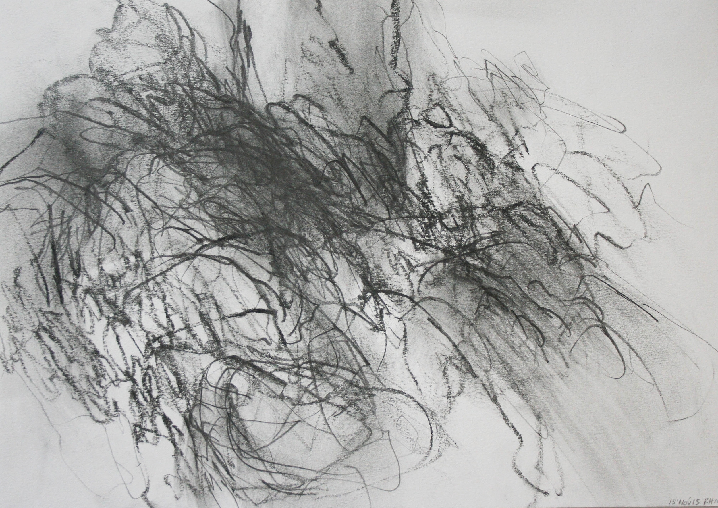  Left hand Drawing VIII  November  2015  graphite on paper  21 x 30 cm 