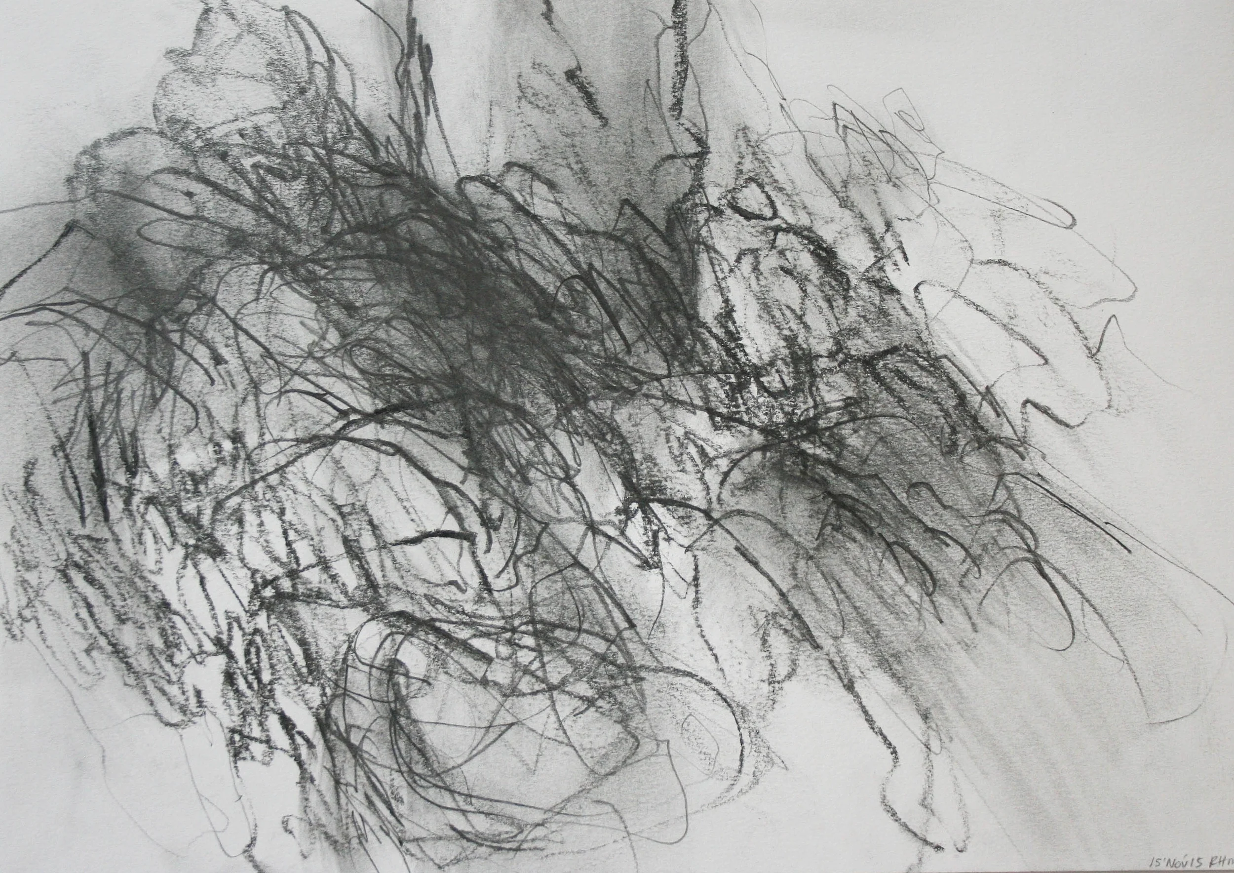 Left hand Drawing VIII November 2015 graphite on paper 21 x 30 cm