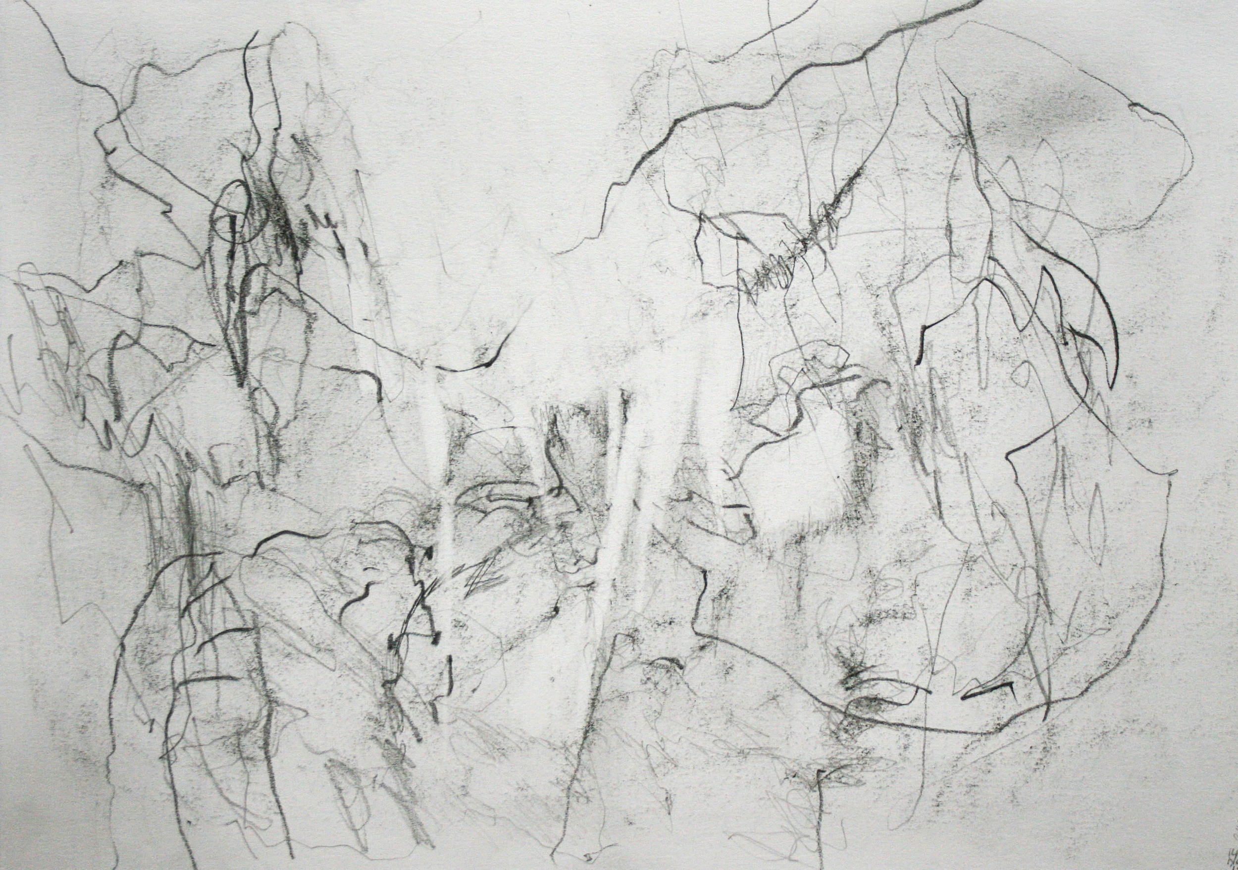  Left hand Drawing II  November  2015  graphite on paper  21 x 30 cm 