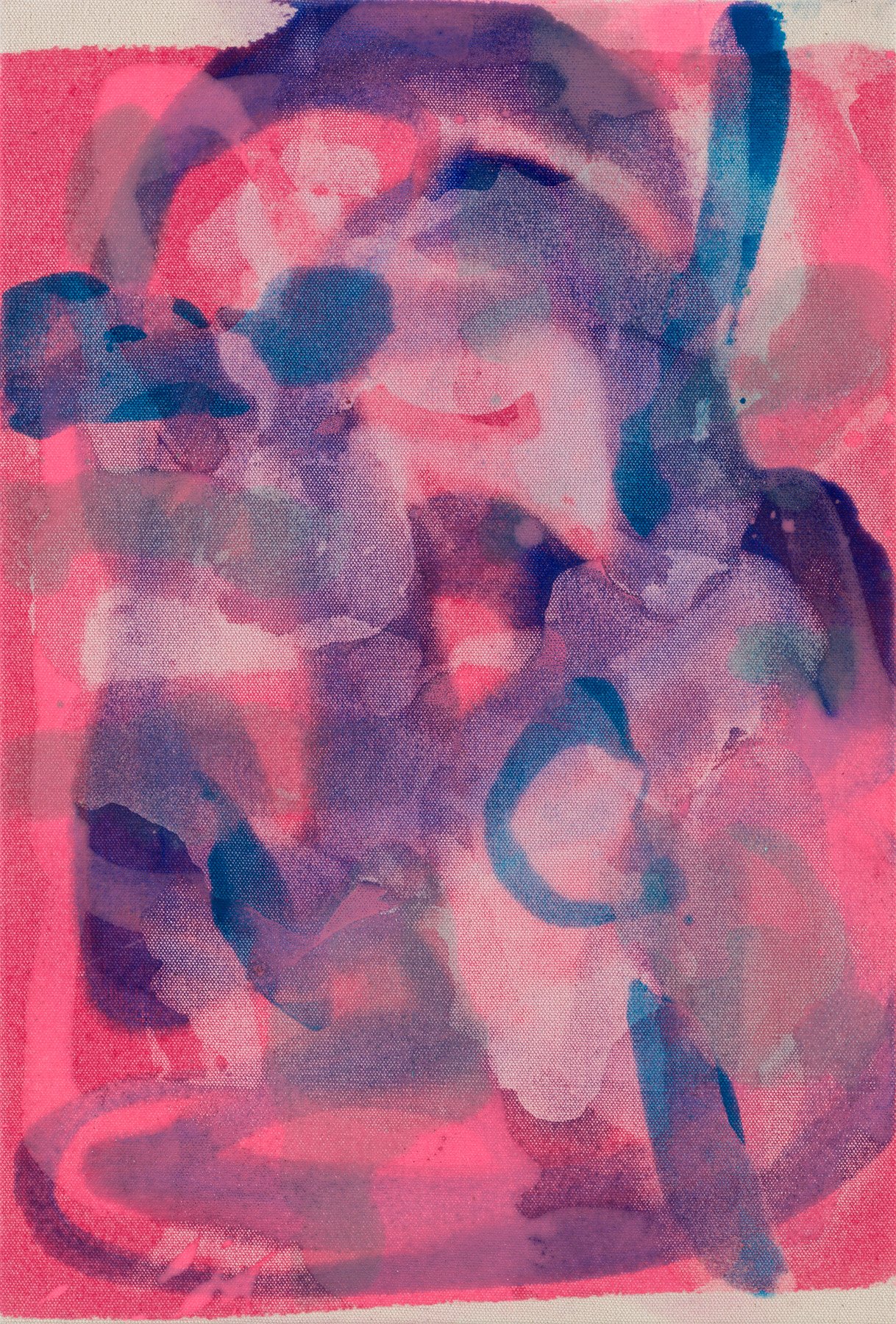 Distemper I (pink-red-blue)   2022  Distemper on canvas  45 x 30 cm   