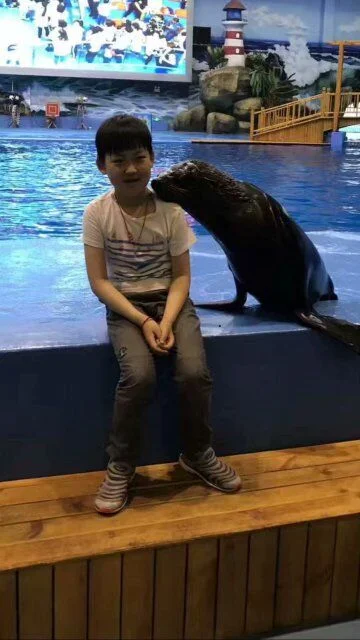 石杰文:我是一个快乐的男孩,我喜欢阅读和唱歌,爱看一些关于恐龙的书籍和影片,我的理想是长大后成为一名考古学家!你们喜欢我吗?喜欢就和我交朋友吧! Shi Jiewen: I am a happy boy. I like to read and sing. I love to read books and watch videos about dinosaurs. My dream is to grow up to become an archeologist! Do you like me? If you do, we can be friends!