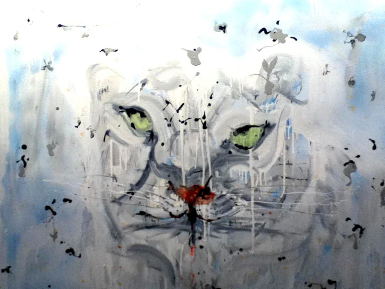snow_leopard_MBrafman.jpg