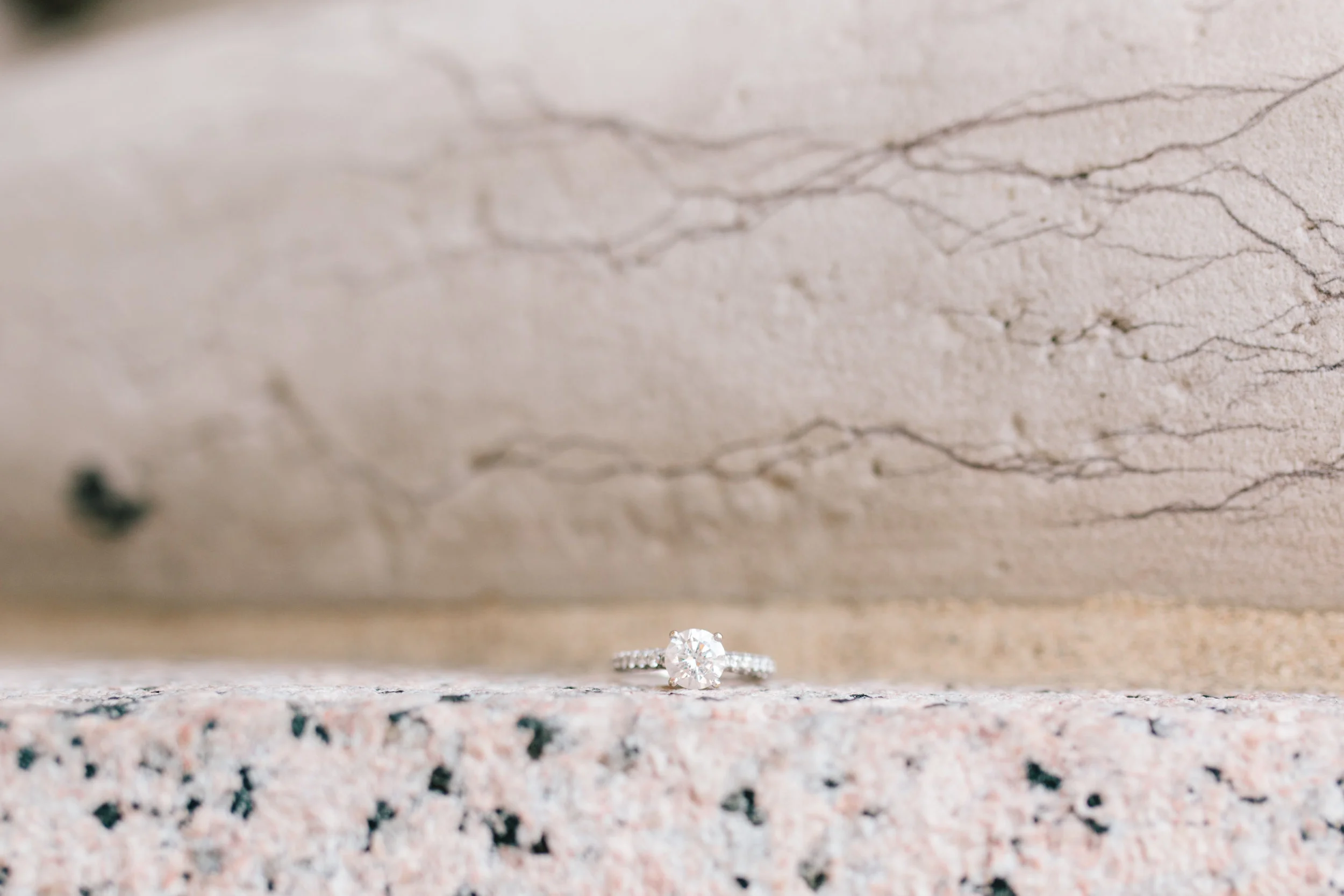 morgan_ty_engagement (170 of 172).jpg