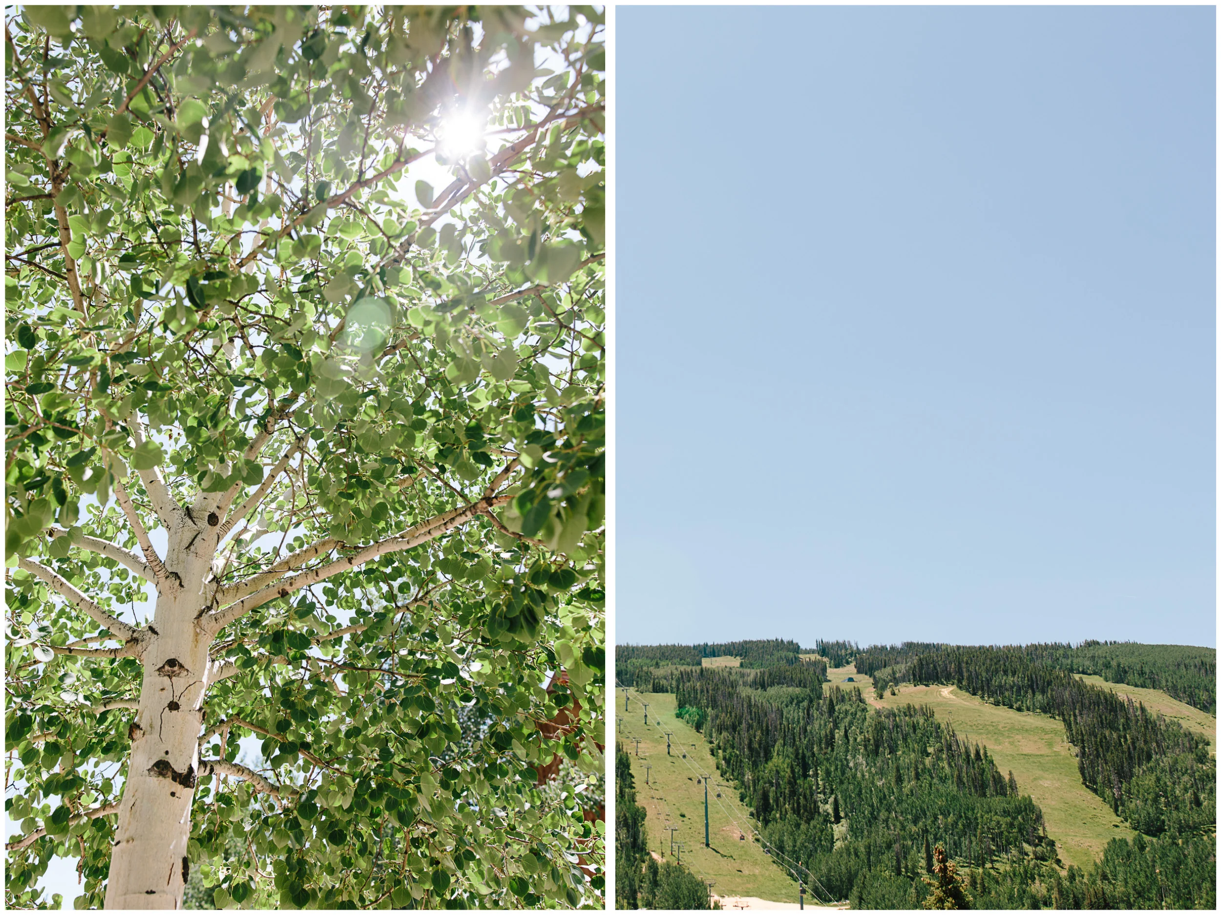 rocky_mountain_wedding_1ba.jpg