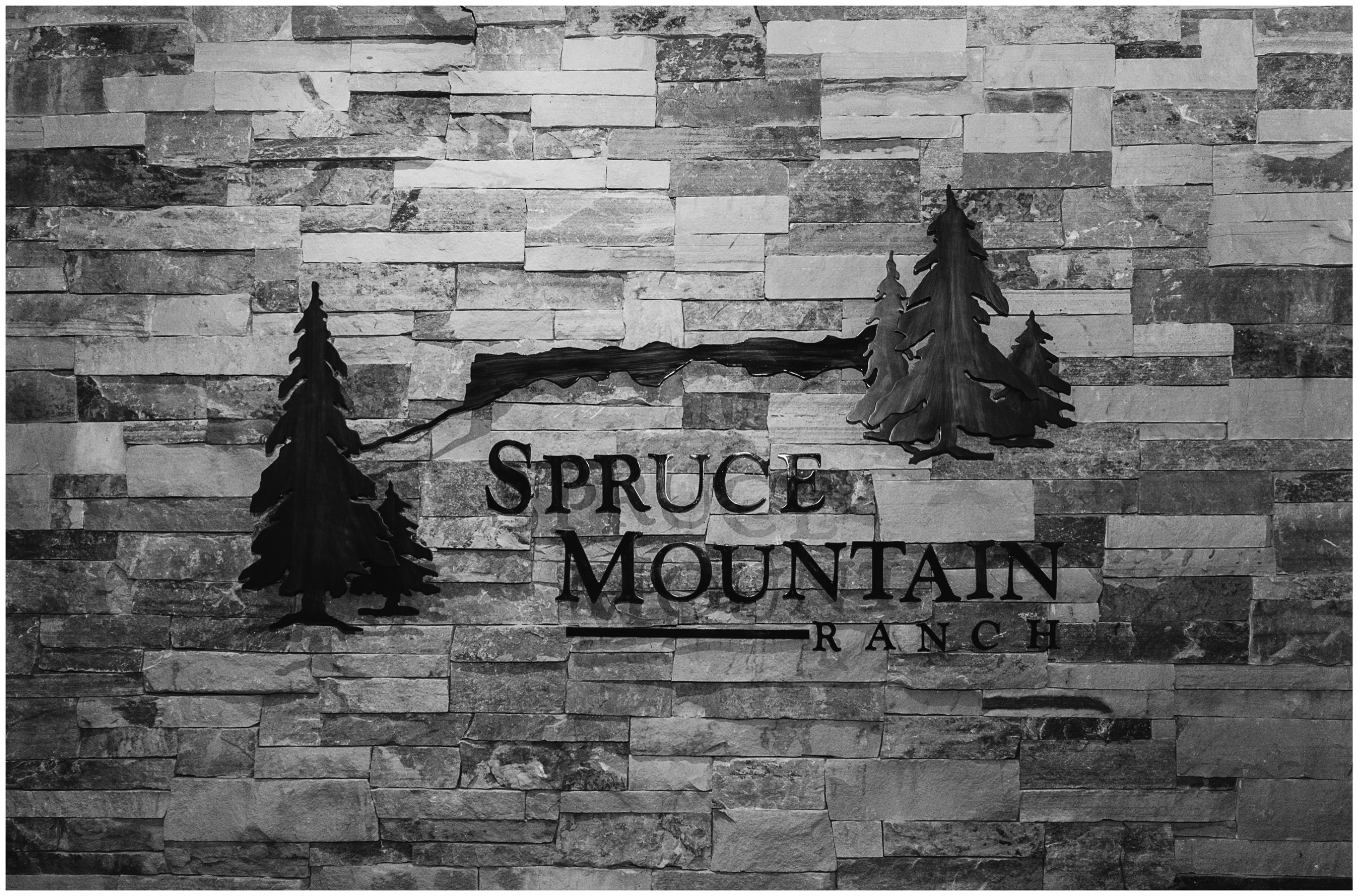 spruce_mountain_ranch_wedding_39.jpg