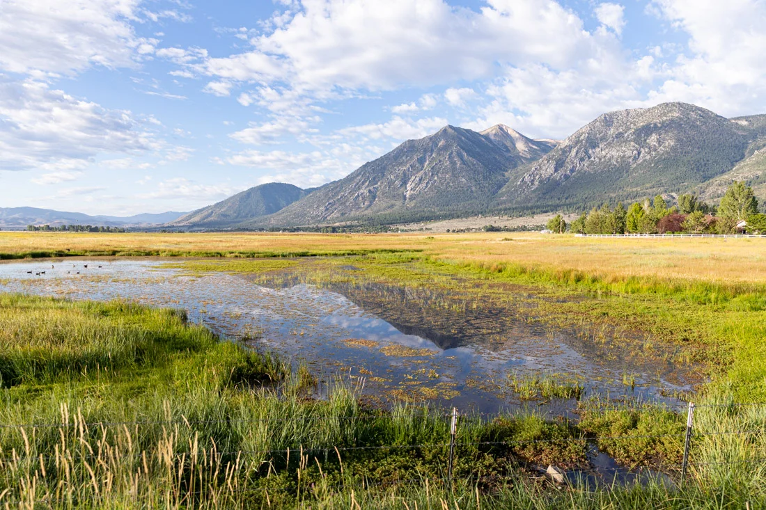 Carson Valley