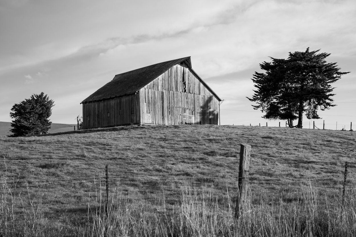 Shadow Barn