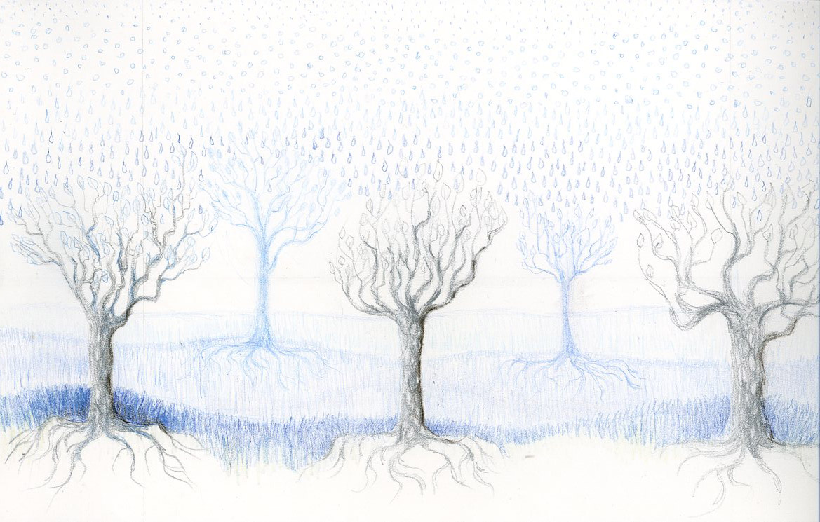 Raintrees