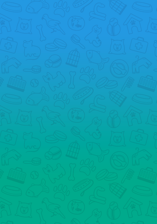 new_gradient_pattern_bg.png