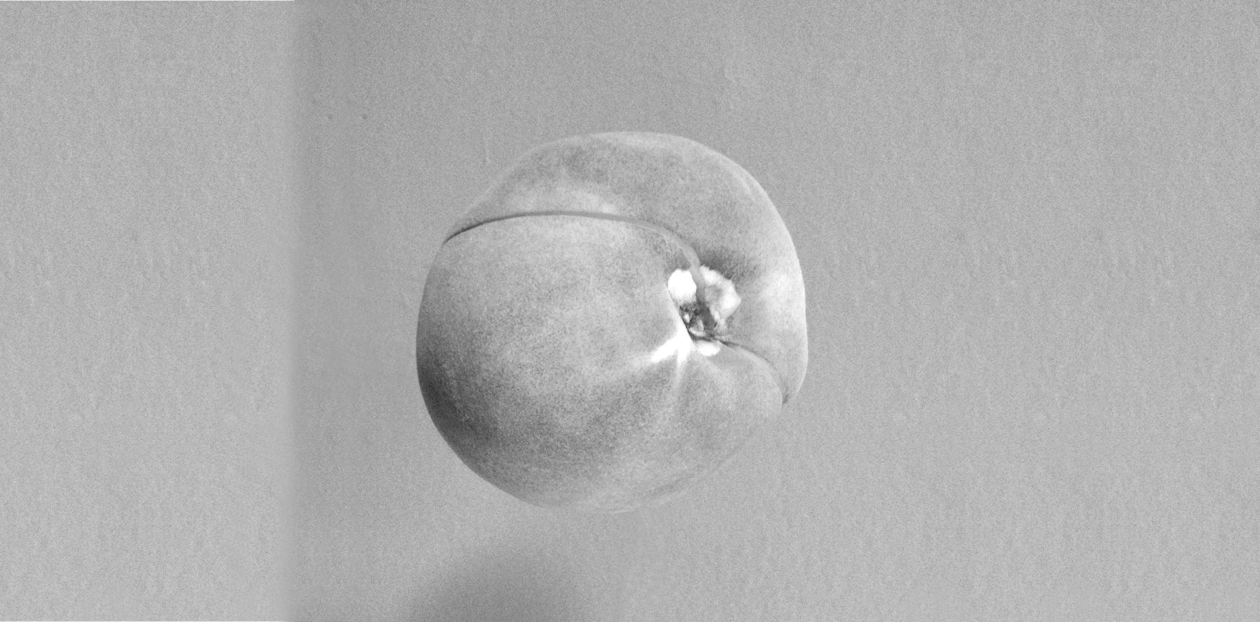 Peach3-Contact-BW.jpg