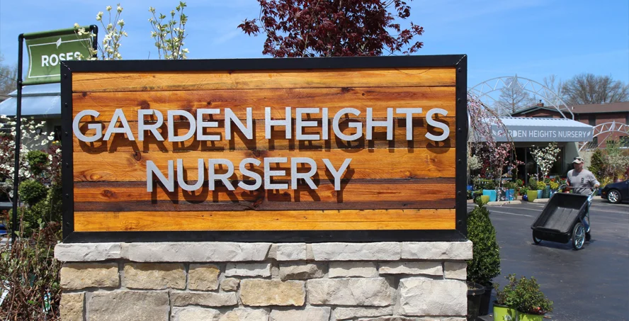 Garden_03.jpg