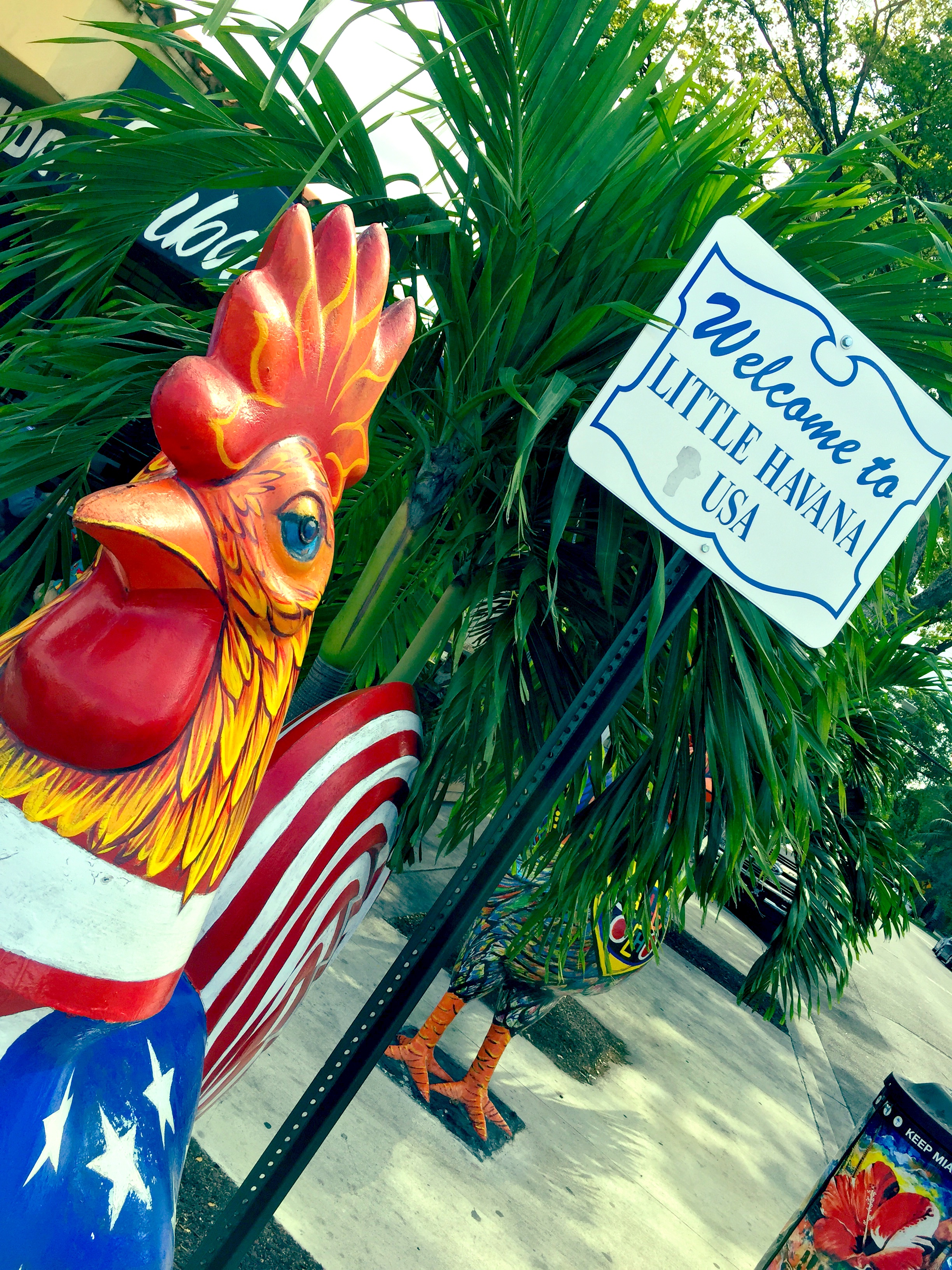 How To Enjoy Miami in 48 Hours or Less