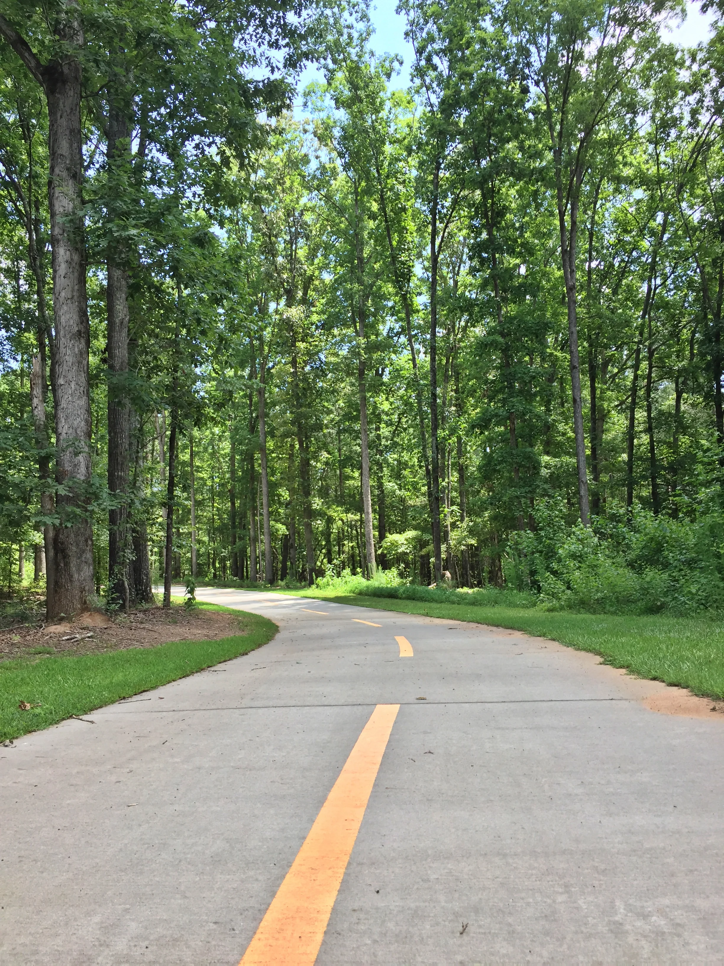 Things To Do At Panola Mountain State Park in Stockbridge, Georgia