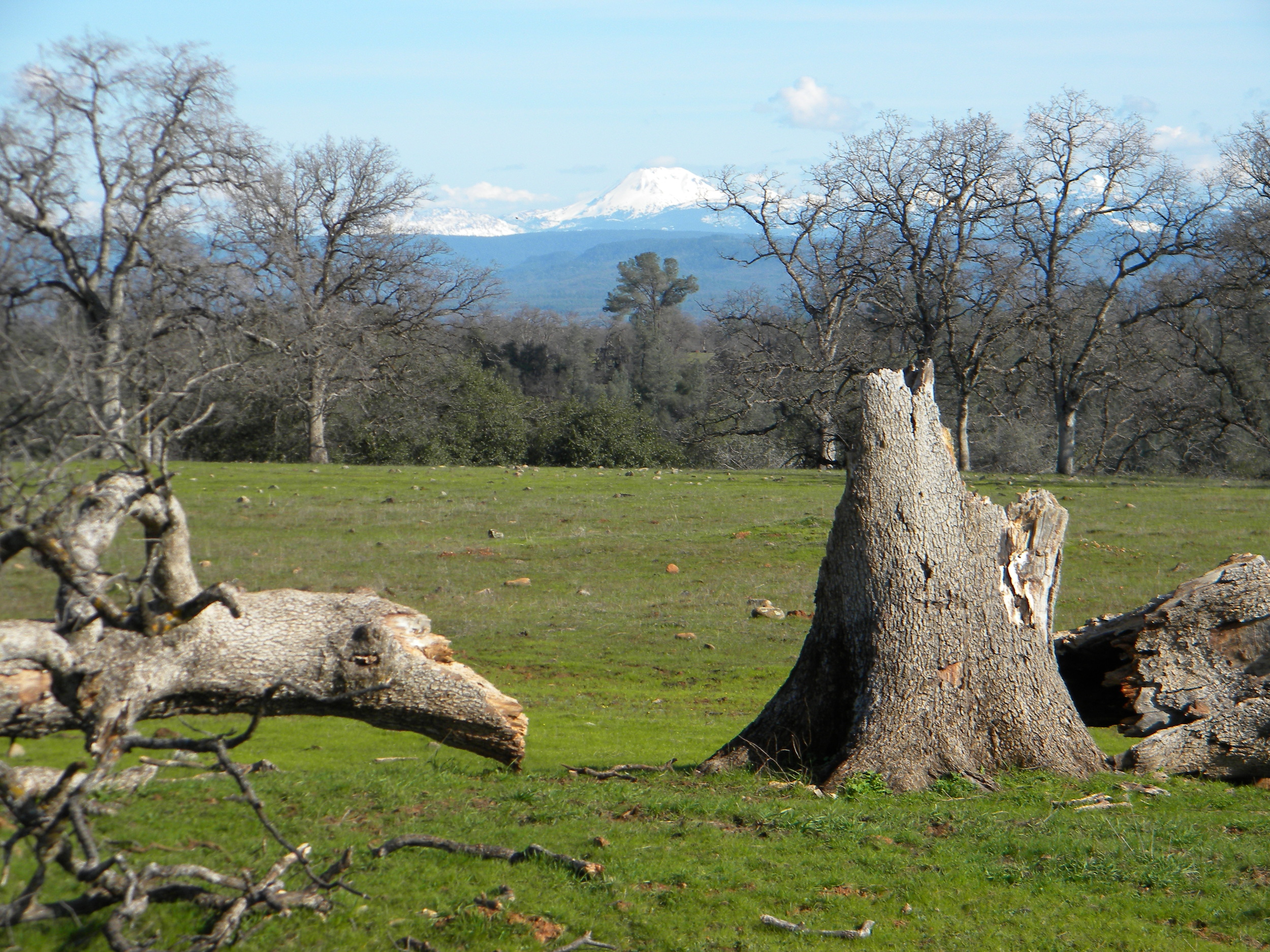 Rickert Brothers Ranch