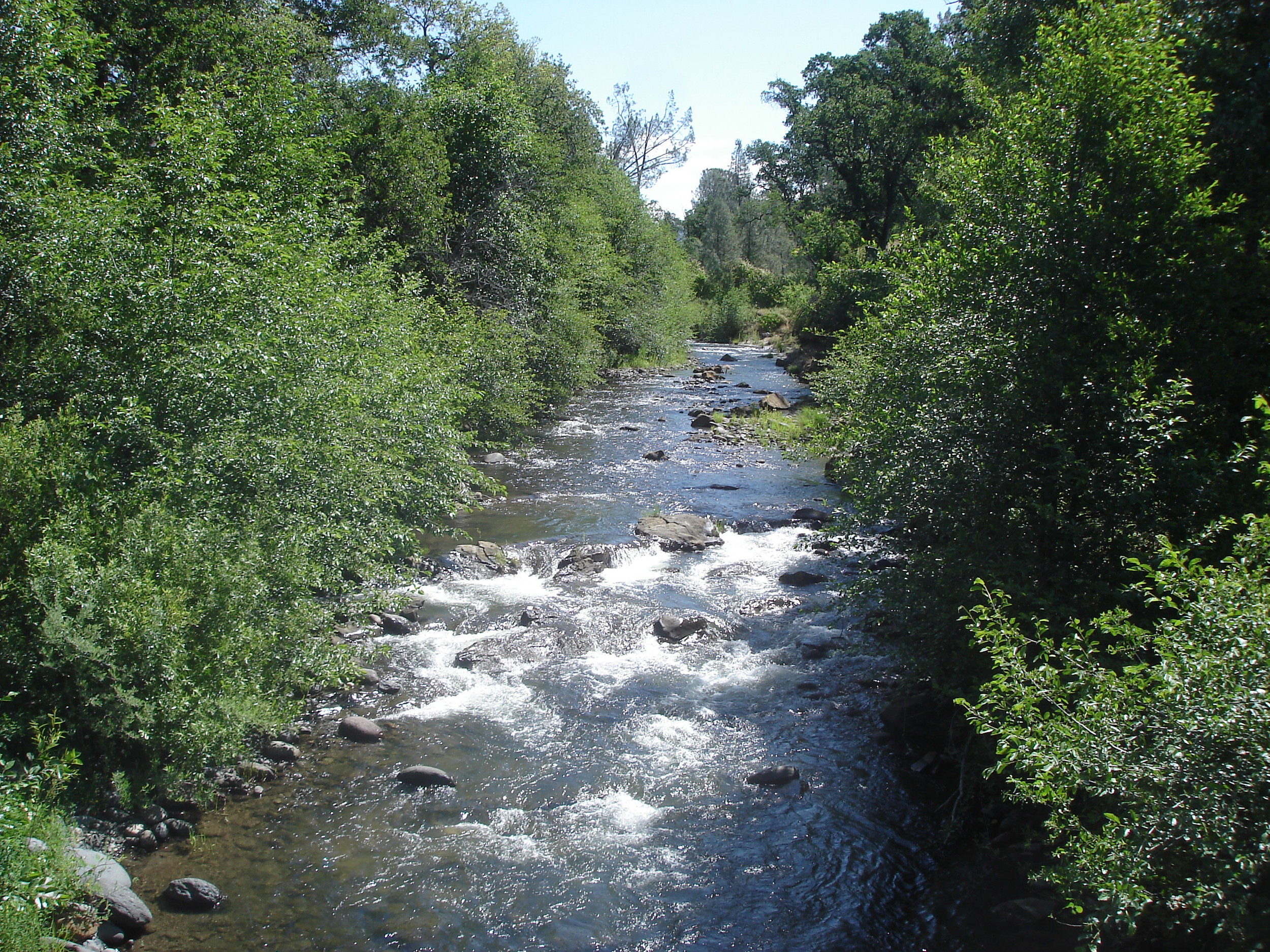 Cow Creek Ranch