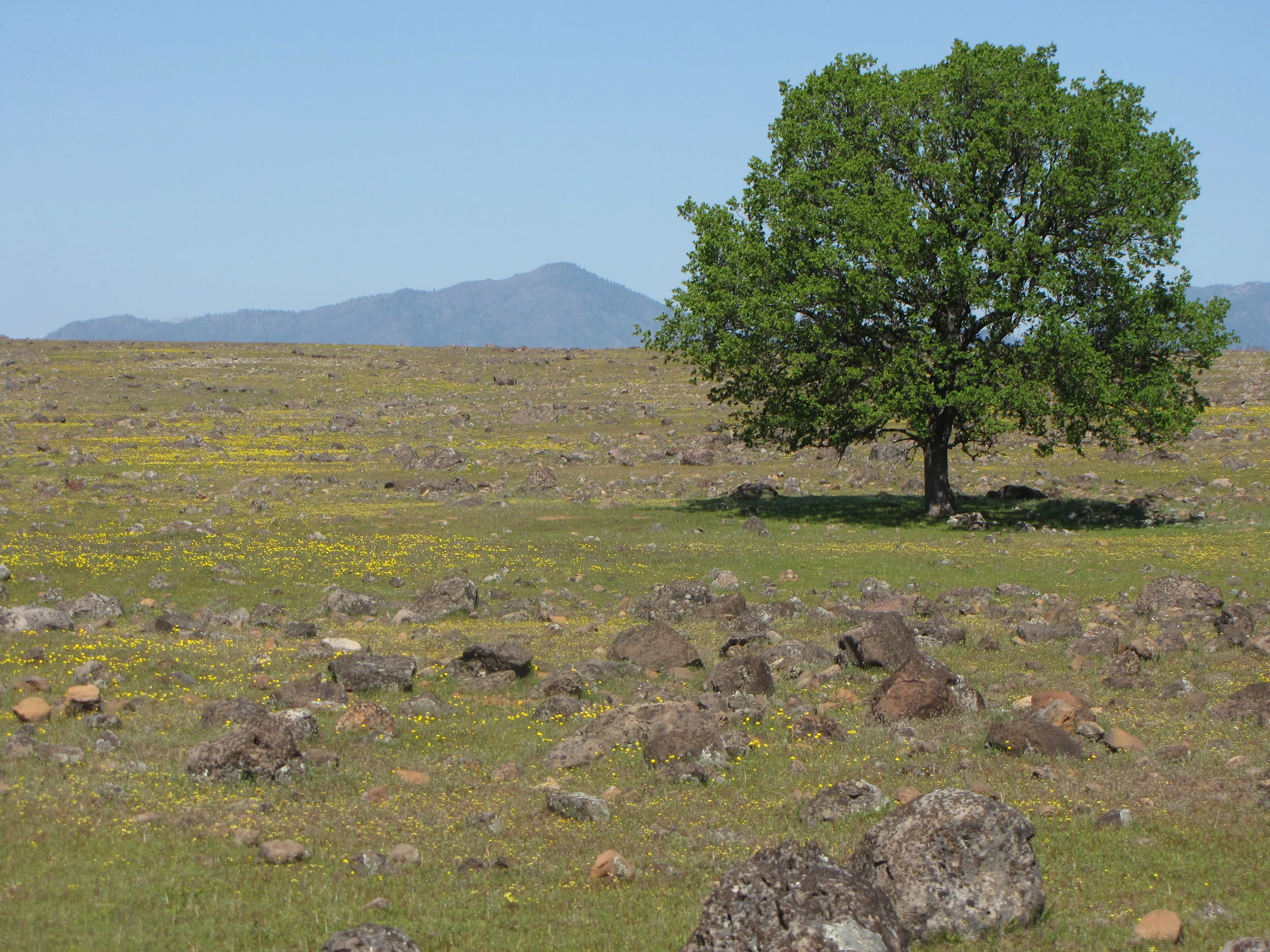 Hathaway Ranch