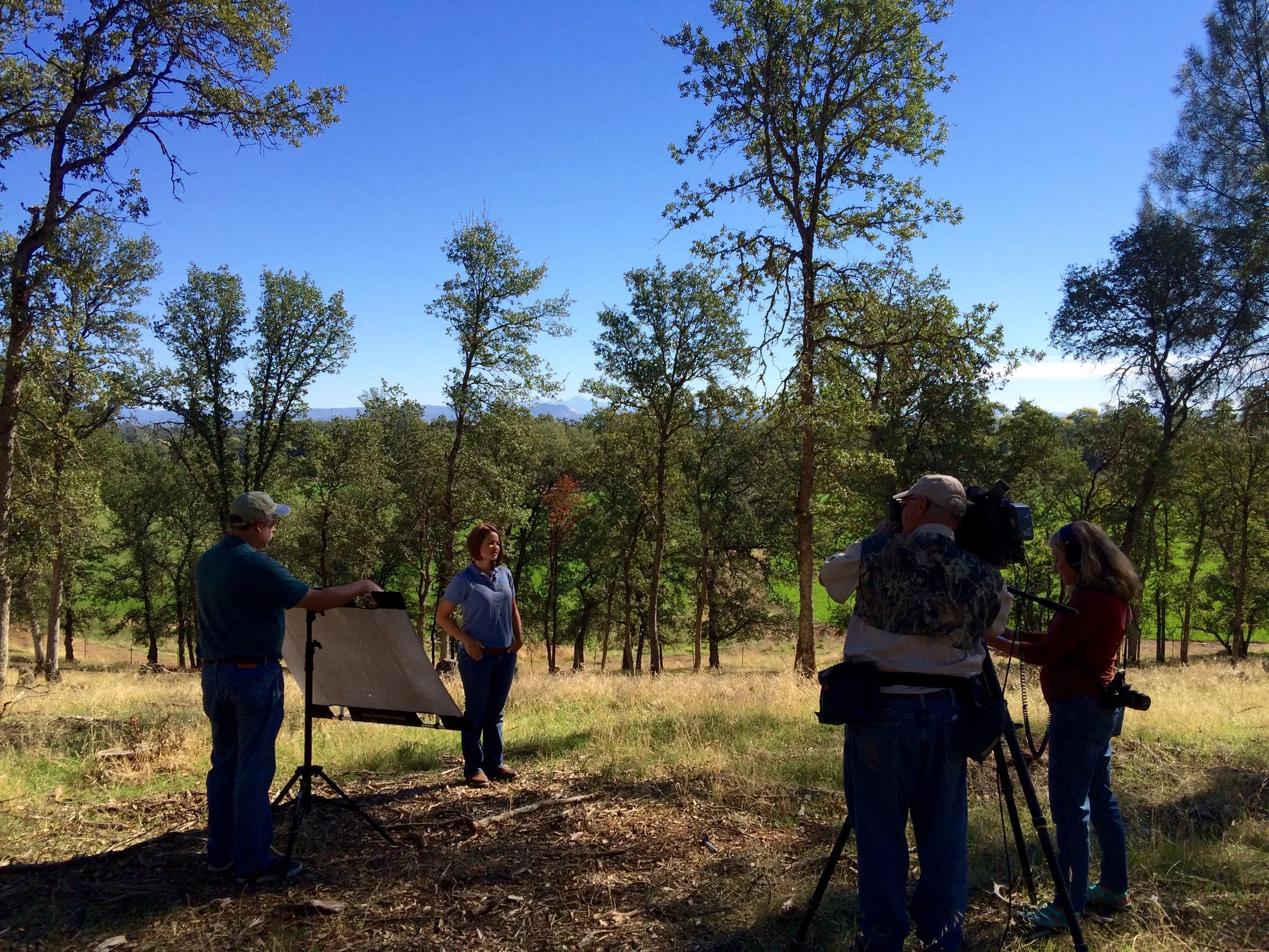 Jenna Brazil from NRCS talks about the oak woodlands on Sandy's property