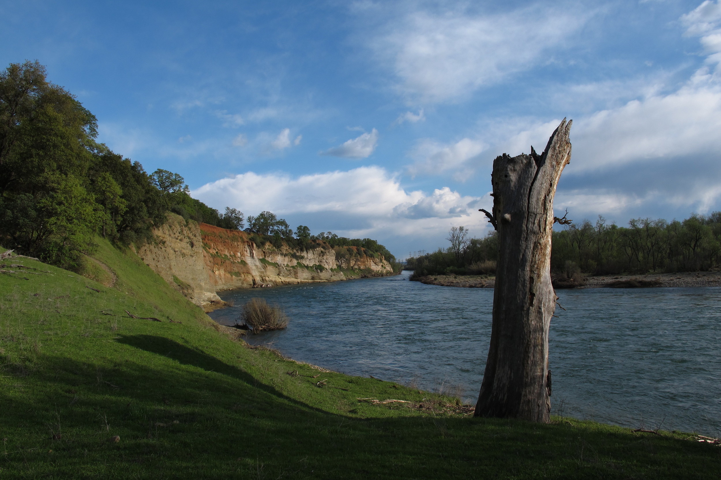 Fenwood Ranch by Muffy Berryhill