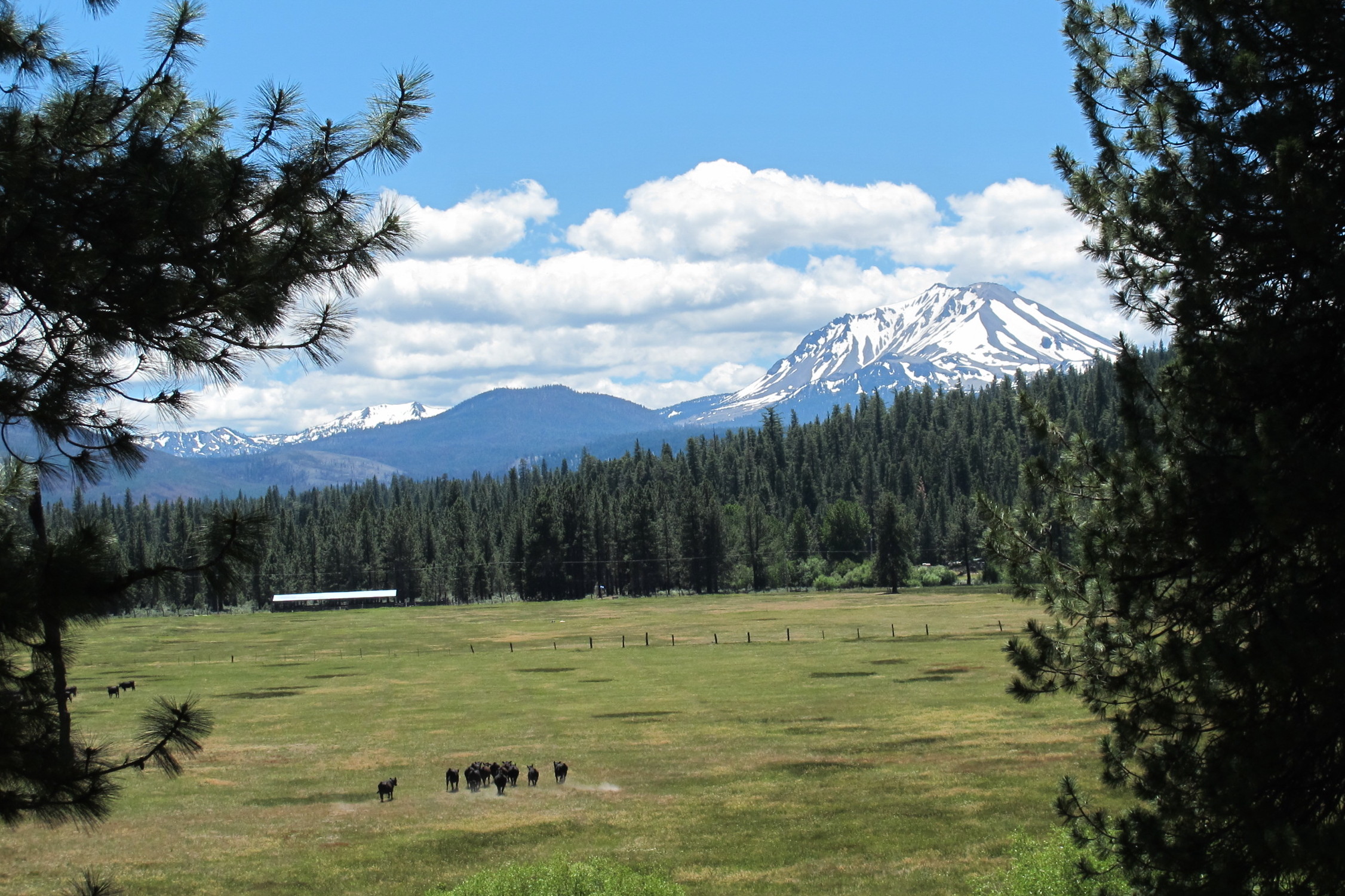 Swicegood Ranch by Muffy Berryhill