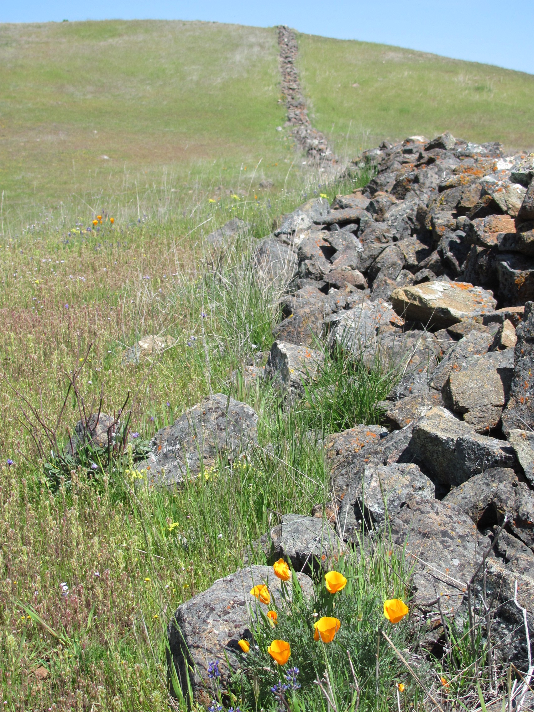 Rock Wall by Jay & Terri Thesken