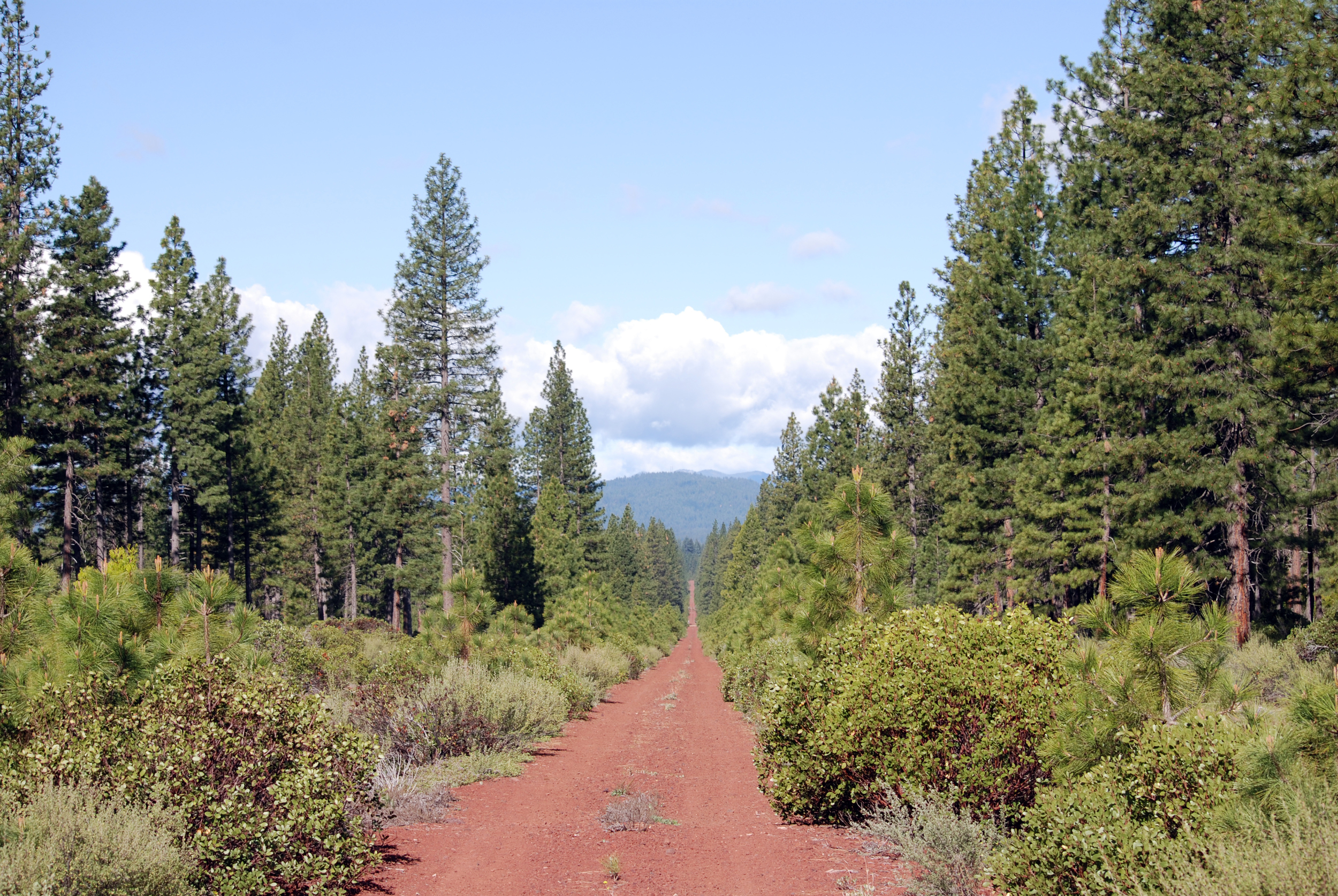 Great Shasta Rail Trail