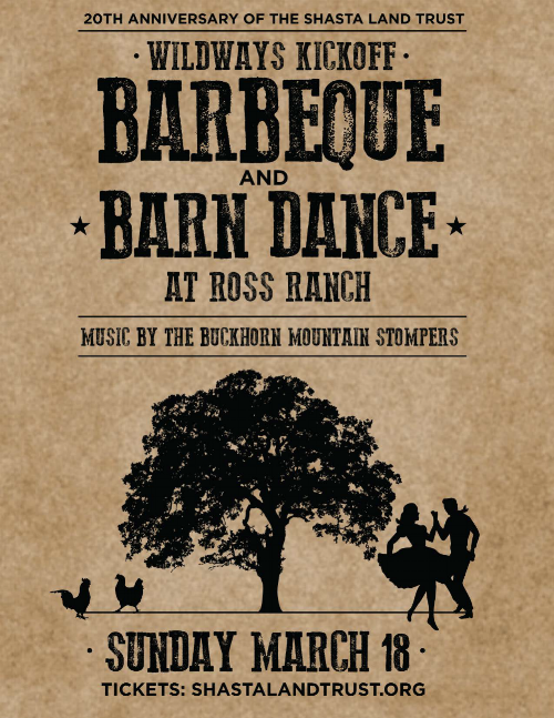 BARNDANCE_PAPER2.png