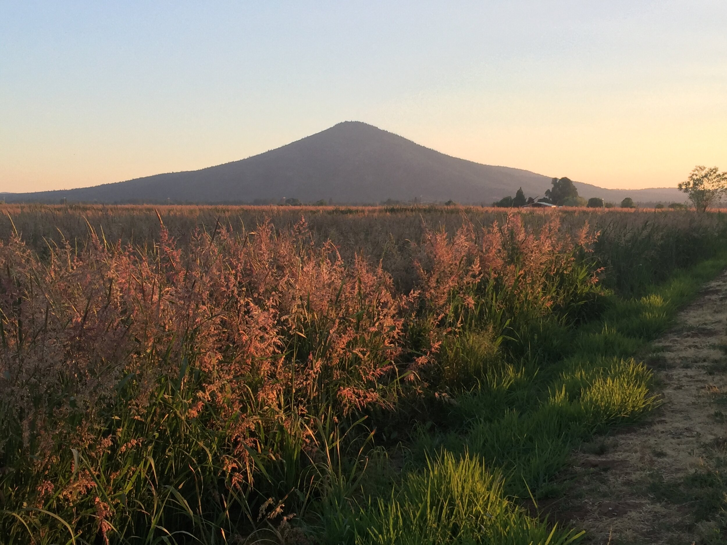 Preserving a Family Farm in the Fall River Valley — Shasta Land Trust