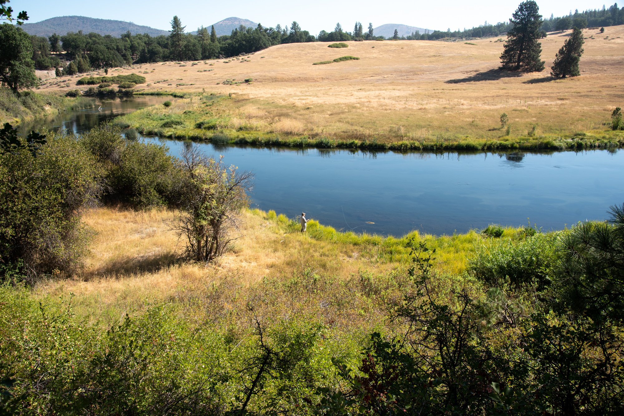 GOMT Shasta Land Trust 22.jpg