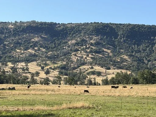 Protecting a Family Legacy: Bonnie Craigs Ranch