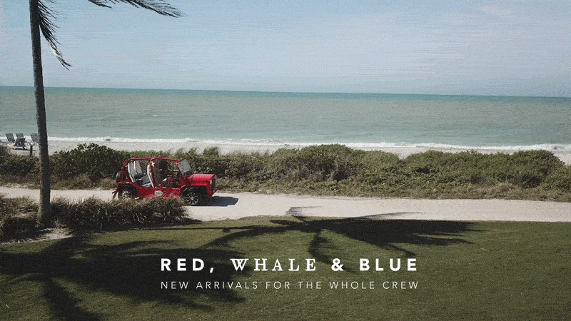 ezgif.com-optimize (2).gif