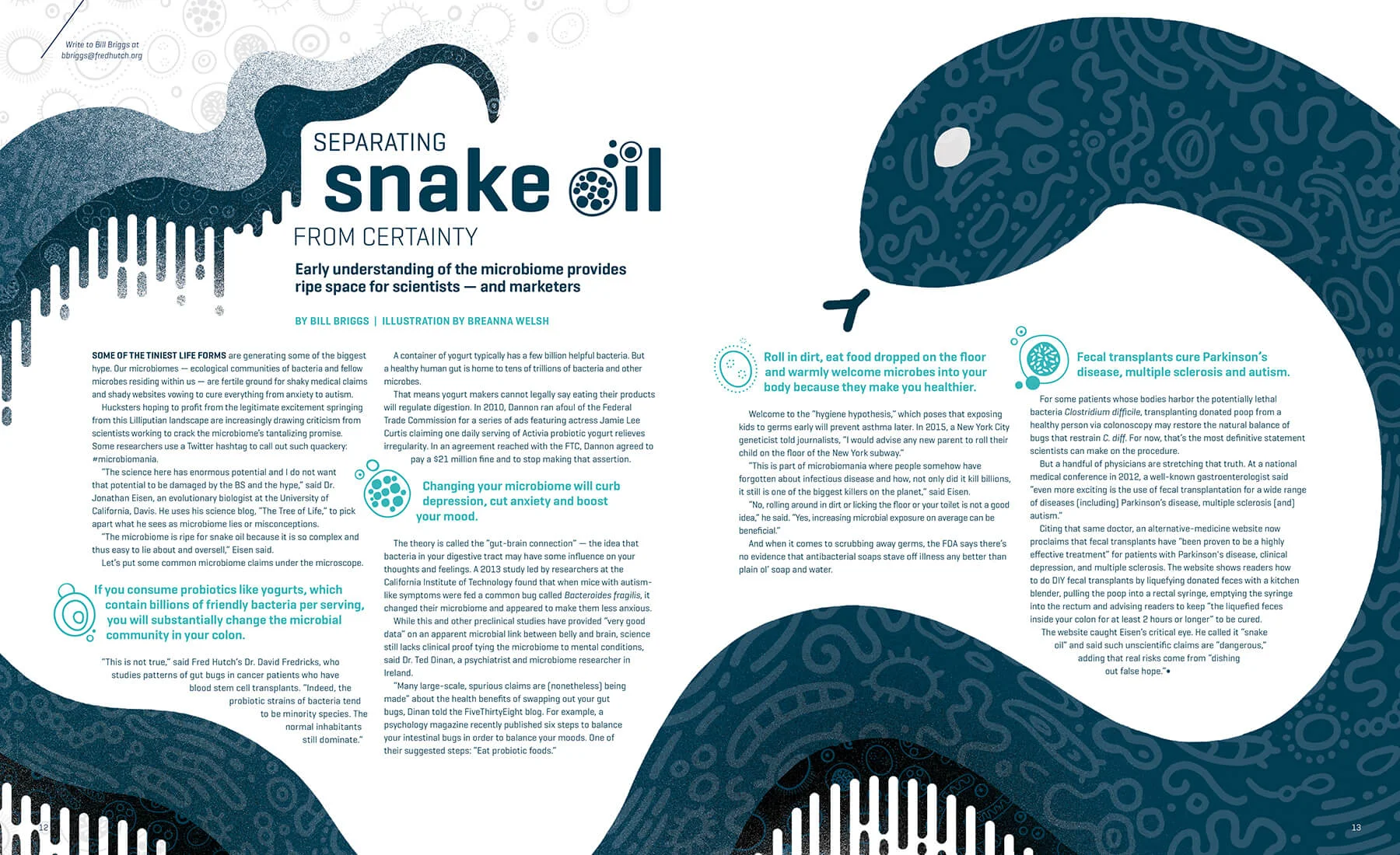 Illustration & spread design