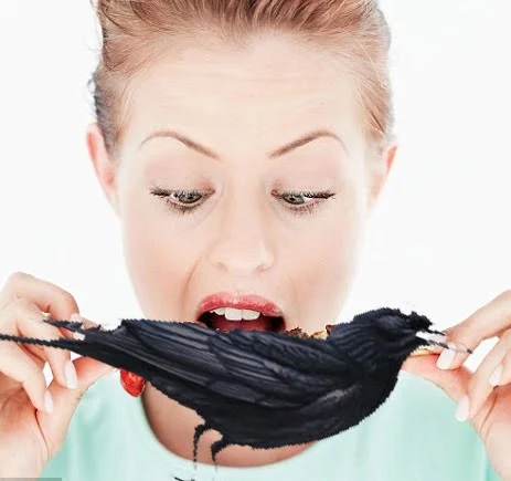 Eating Crow Tastes Nothing Like Chicken A Lesson In Gratitude Janet Jorgensen Eating Crow Tastes Nothing Like Chicken A Lesson In Gratitude Janet Jorgensen