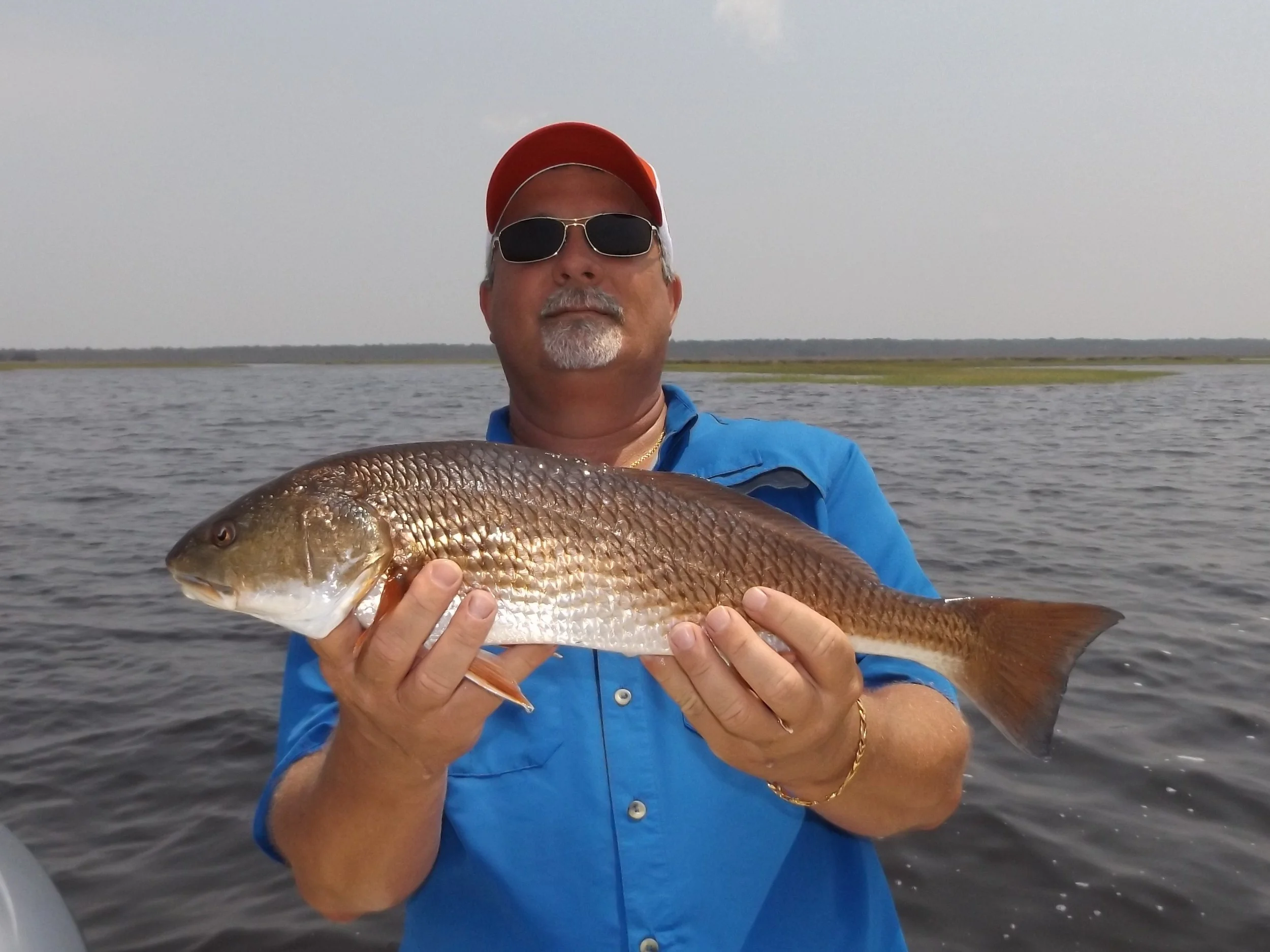 JEFF DILLARD OF PLANT CITY FL. 