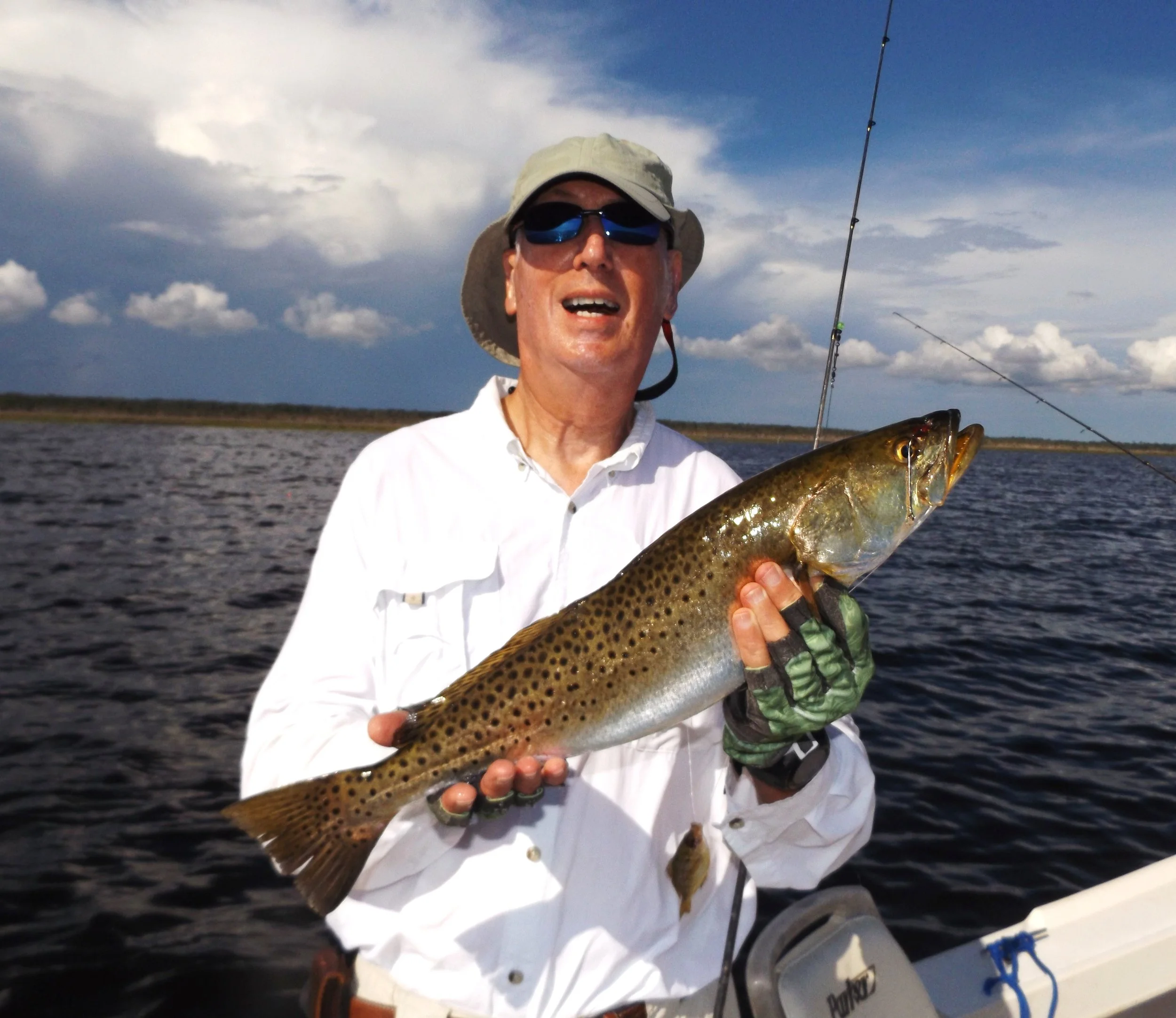 Harry Dorseynice trout
