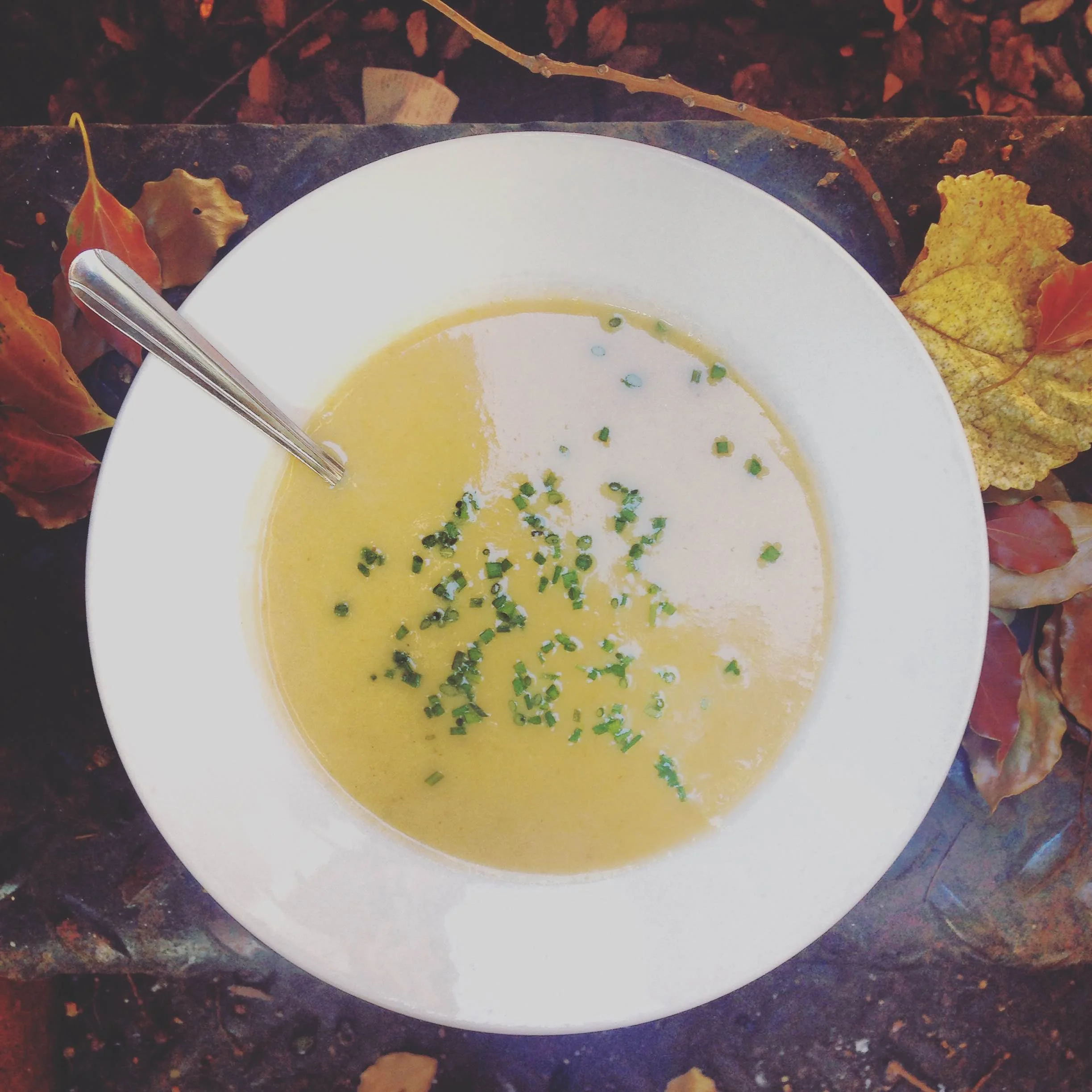 FALL SOUP:: Butternut squash and Pumpkin bisque
