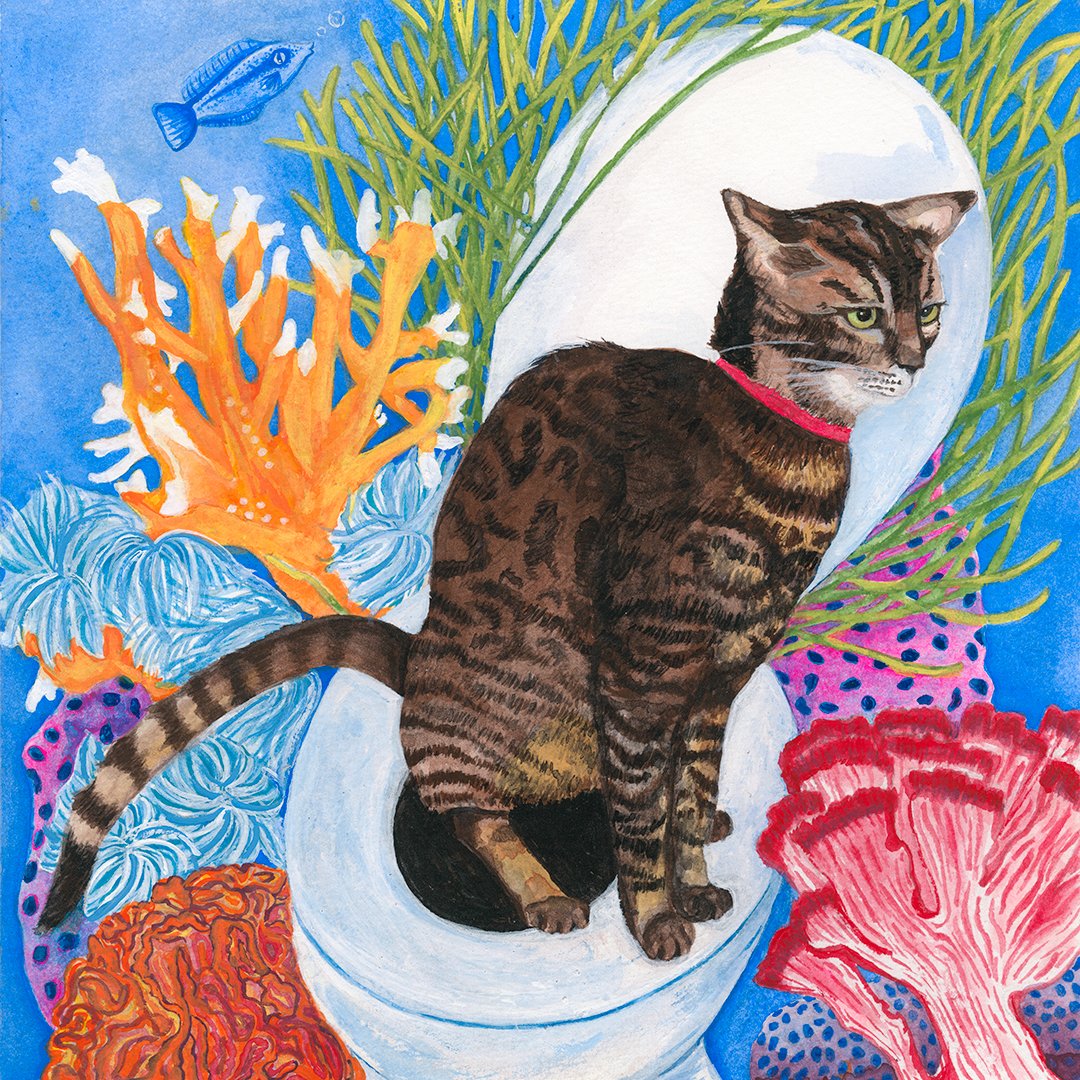 Catfish_KarinMcGinncopy.jpg