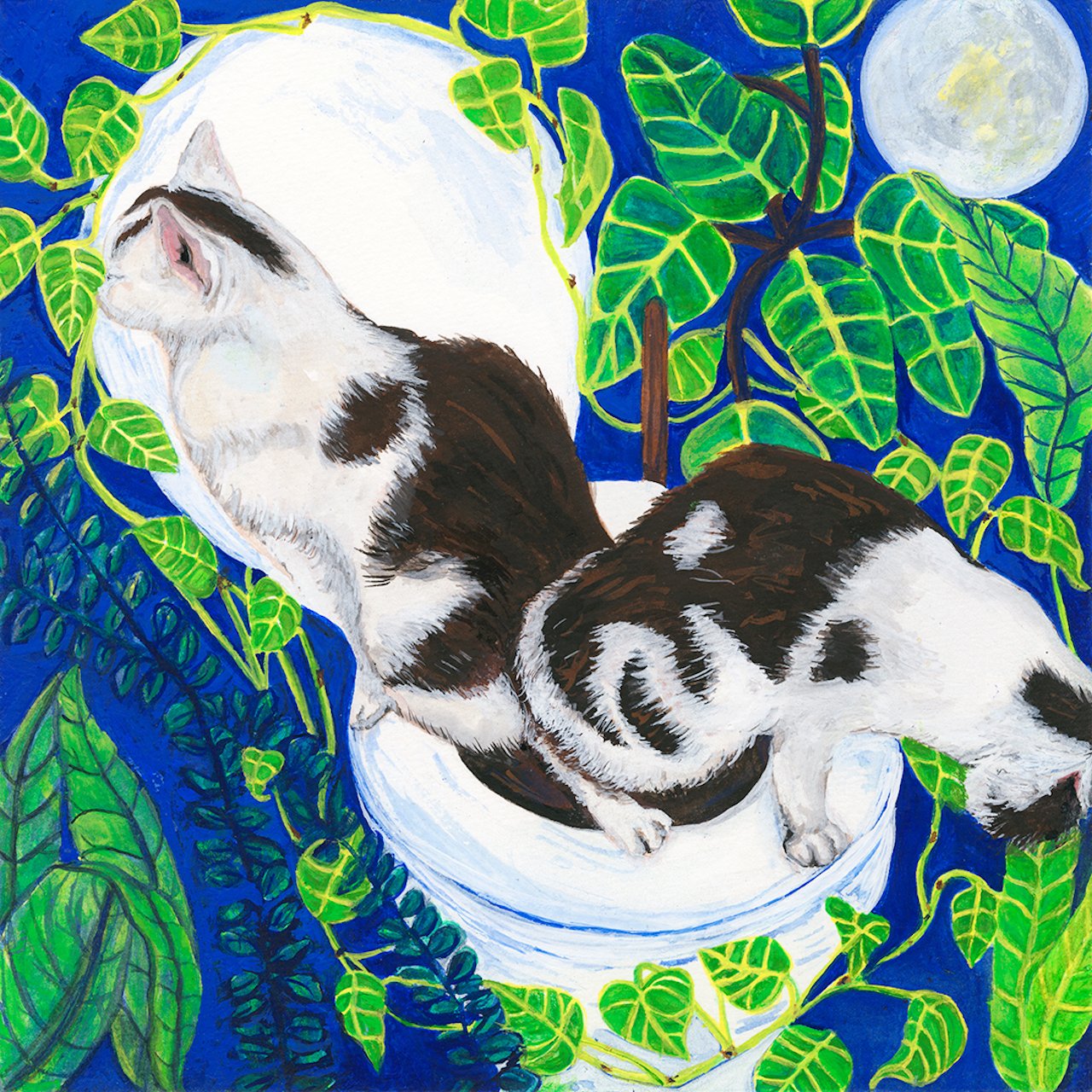 (Closequarters)KarinMcGinn copy.jpg