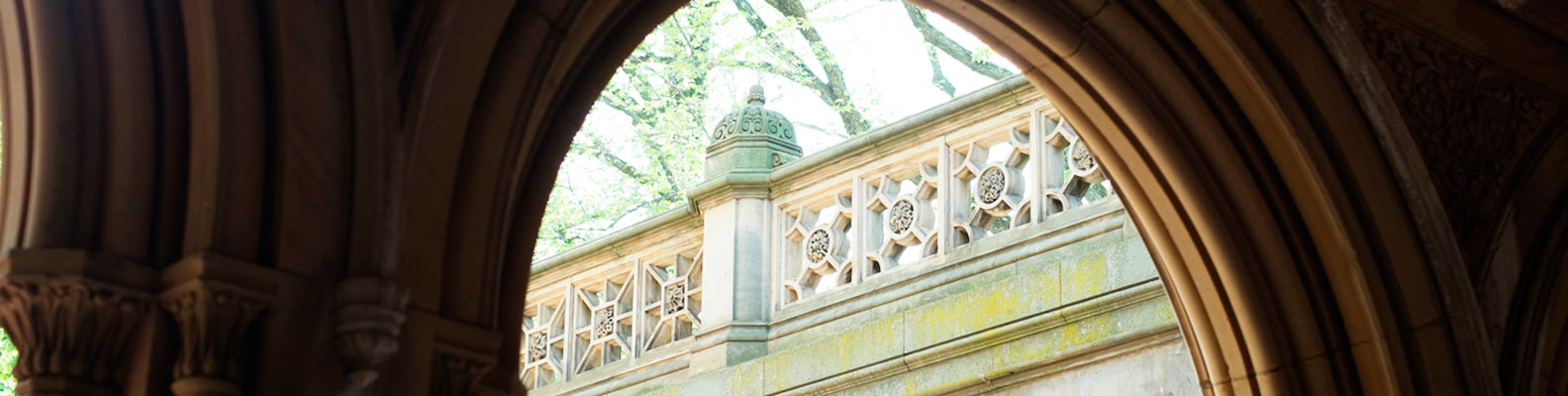banner4.jpg