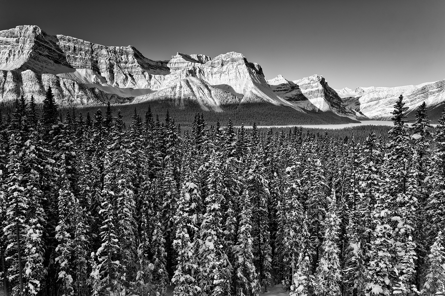 _I4A6625 copy (1)   SEP us mf Icefields Parkway, Jasper NP.jpg