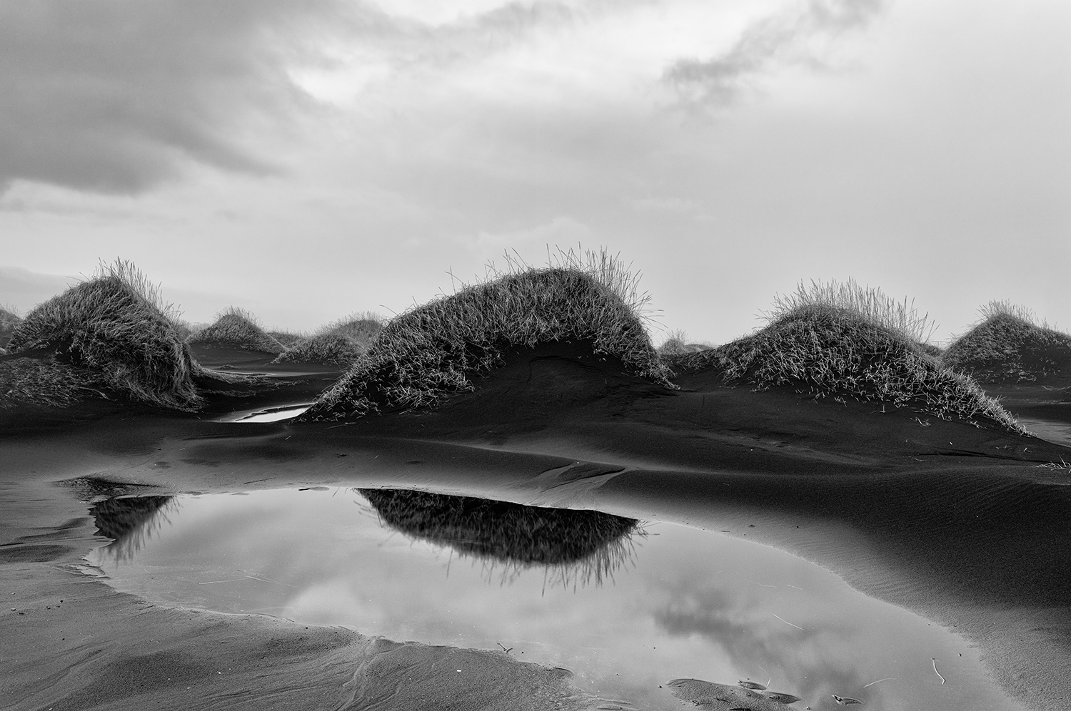 L1001667    SEP us mf black sand dunes near Hofn Iceland.jpg