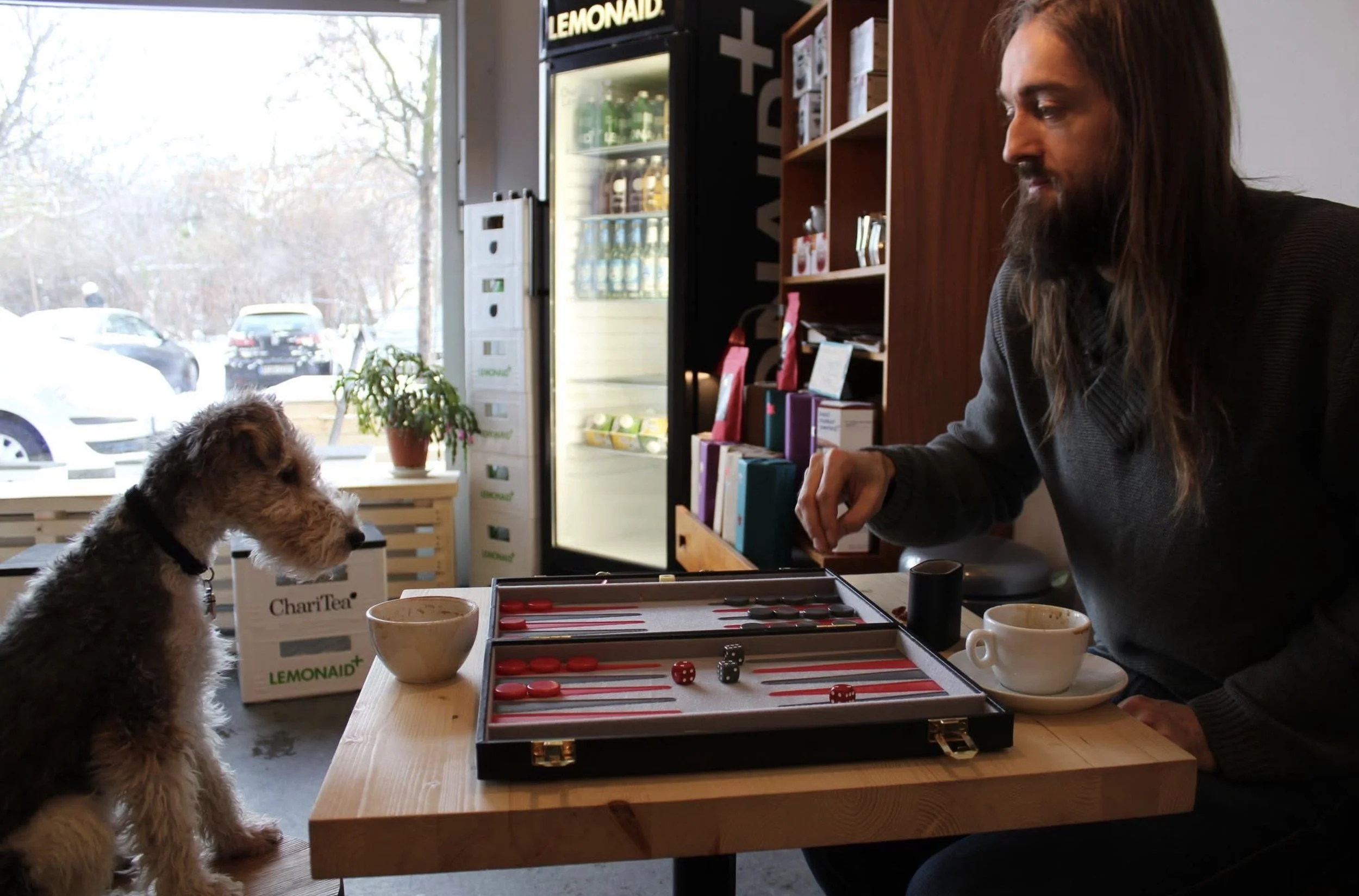 A fox terrier playing backgammon at Oslo Kaffebar