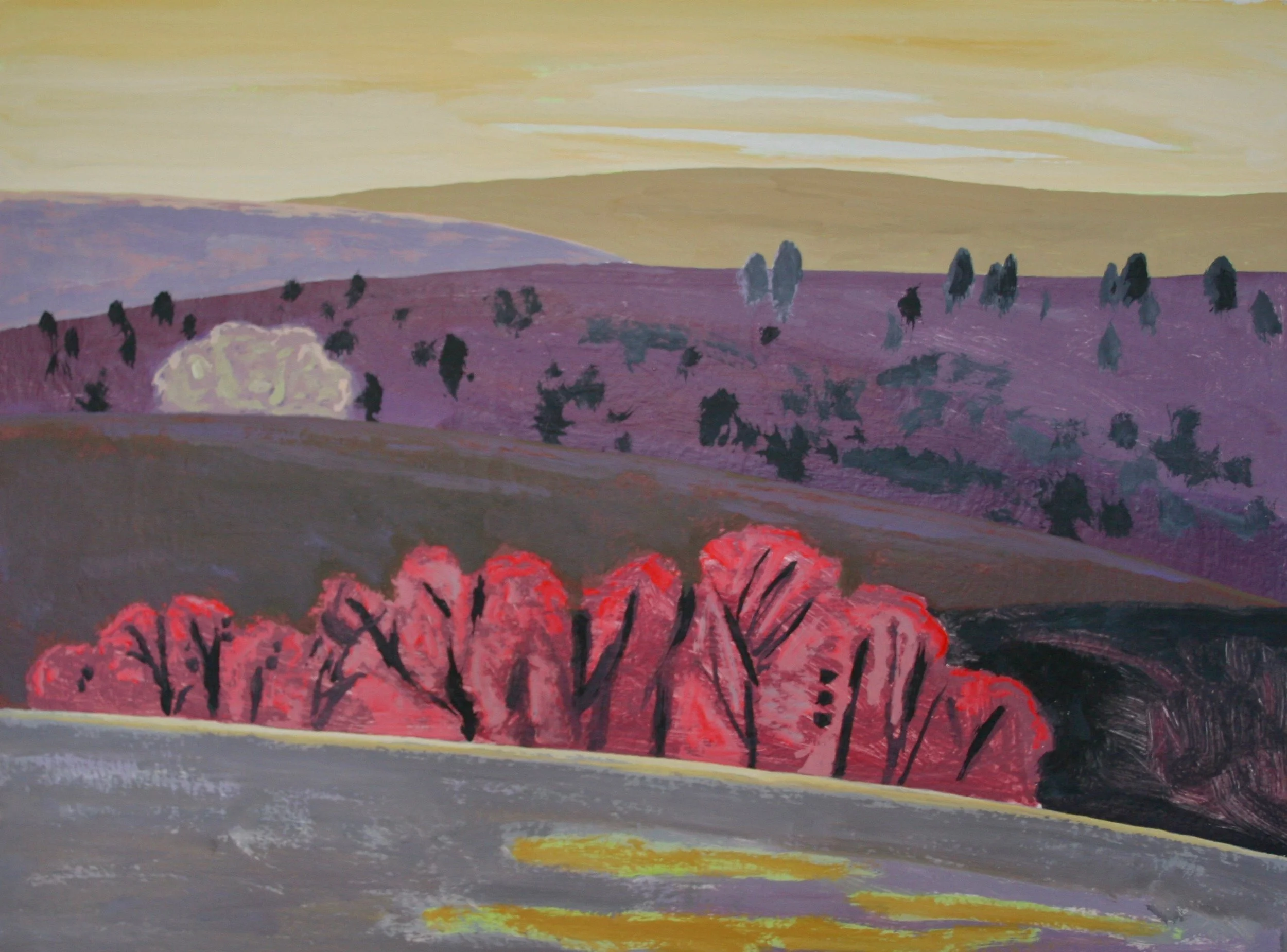 Acrylic and Flashe on Panel 22" x 30"