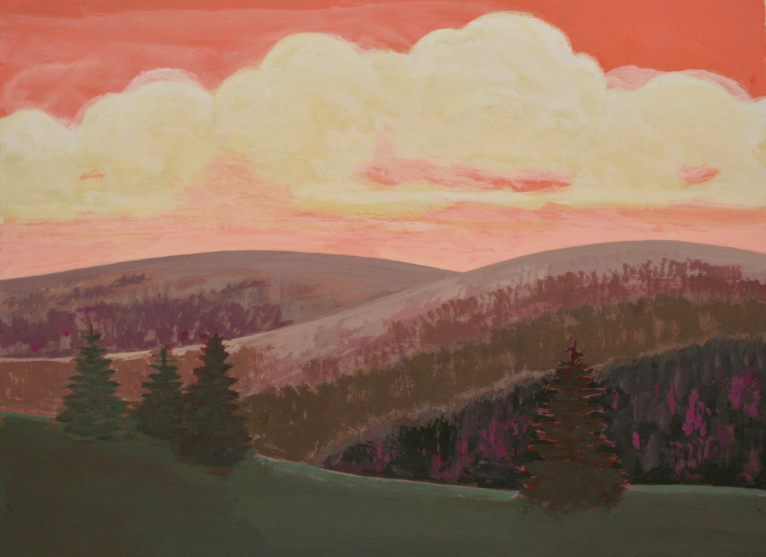 Acrylic and Flashe on Paper 22" x 30"
