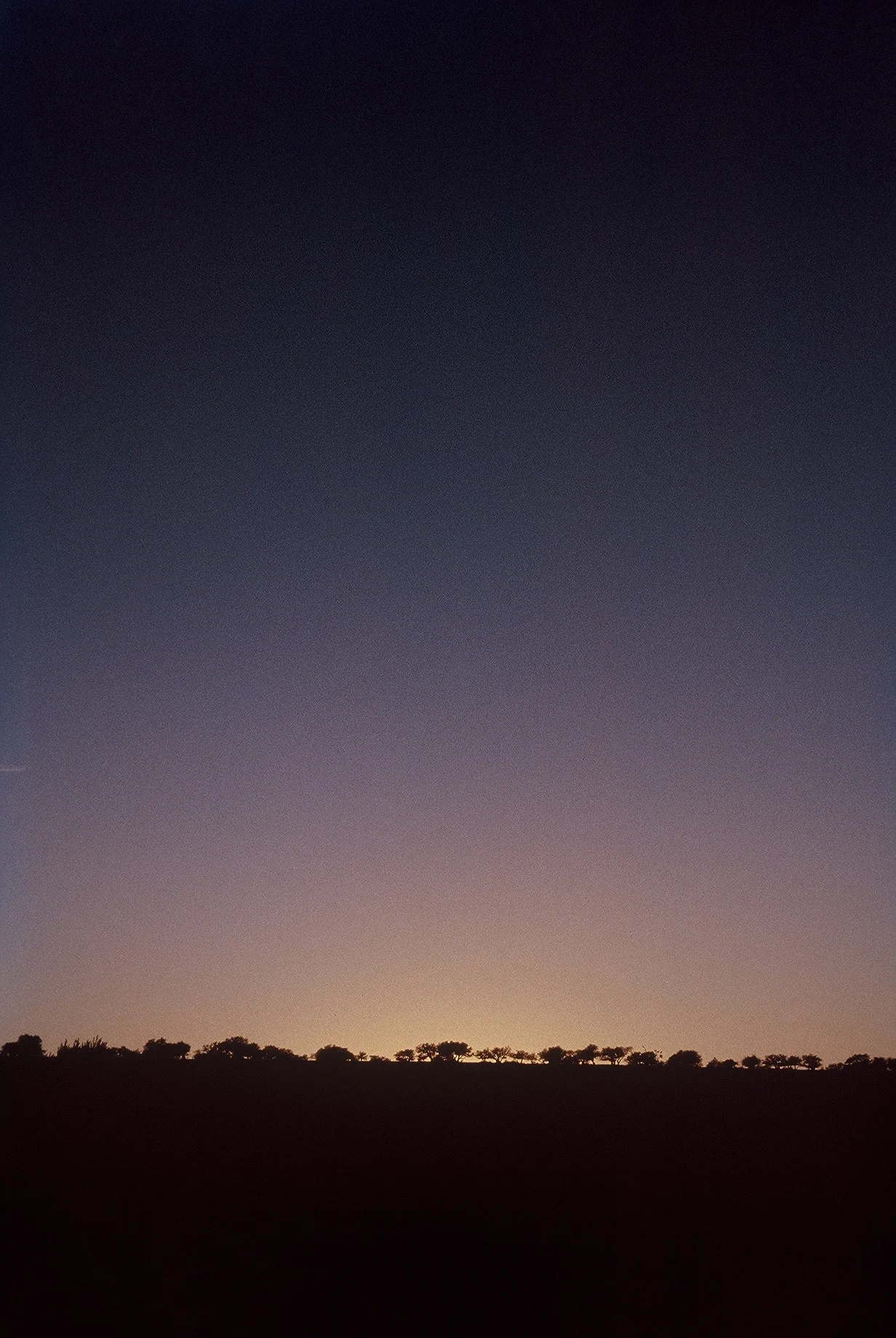F1000032.JPG