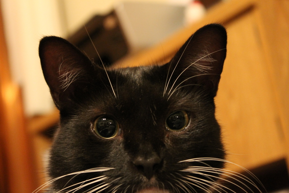 edmund