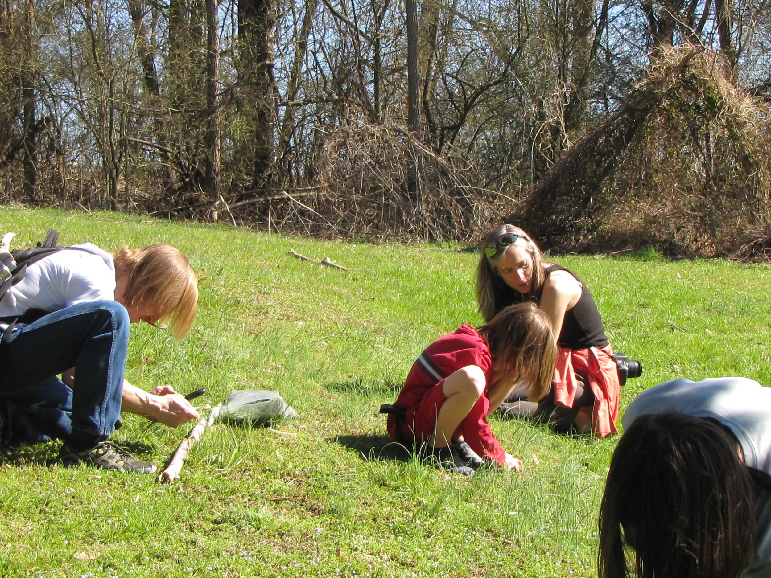 shifting family dynamics